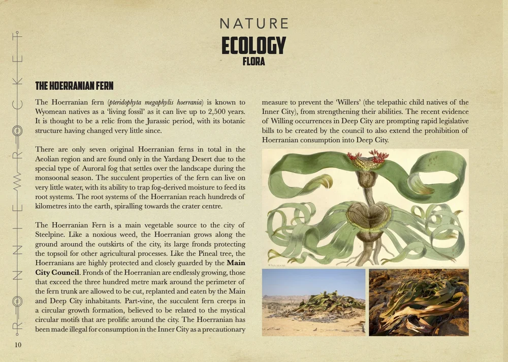 Ronnie Rocket 12.jpg