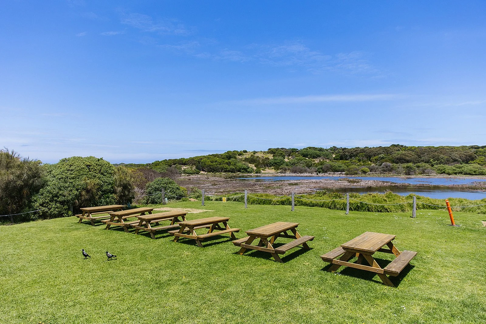 Backyard and view to wetlands