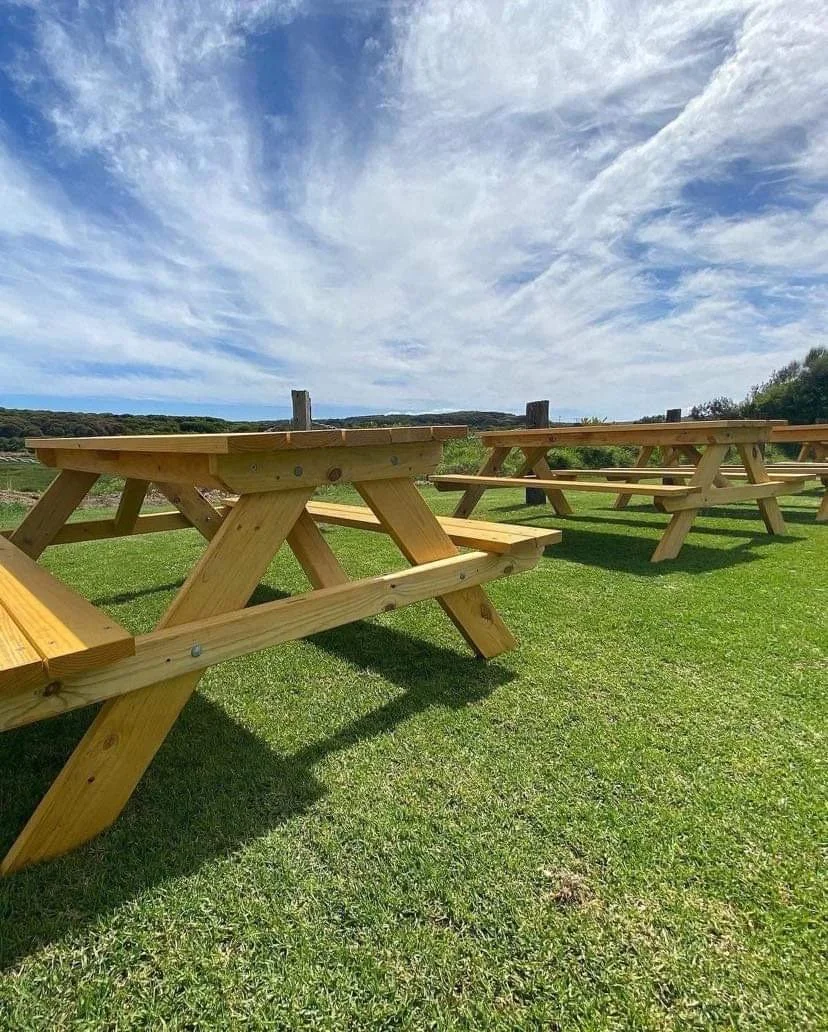 New Outdoor Furniture.JPG