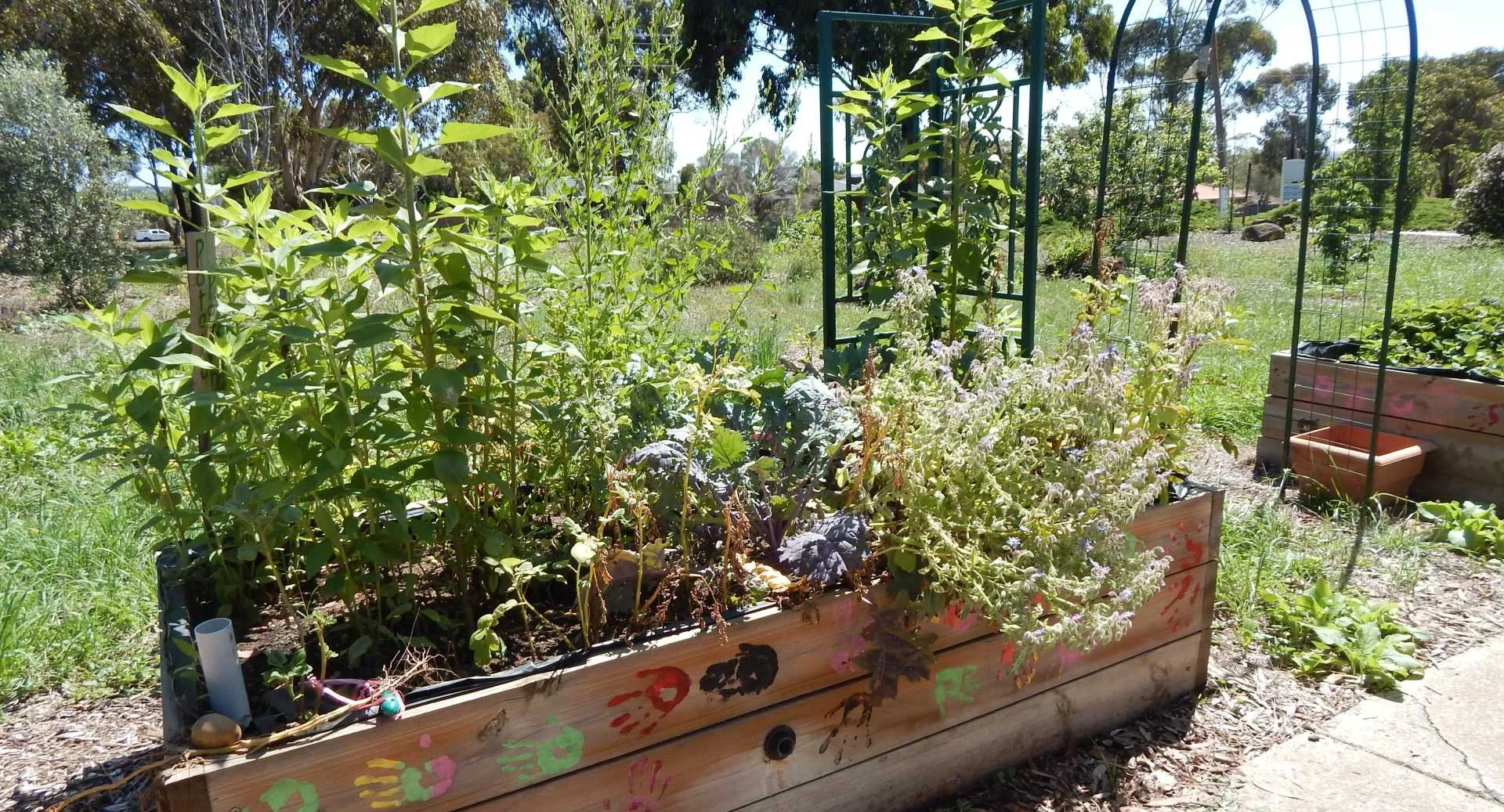Let's Grow Hume Workshop