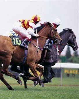 Hats Off to Cup Day Fun