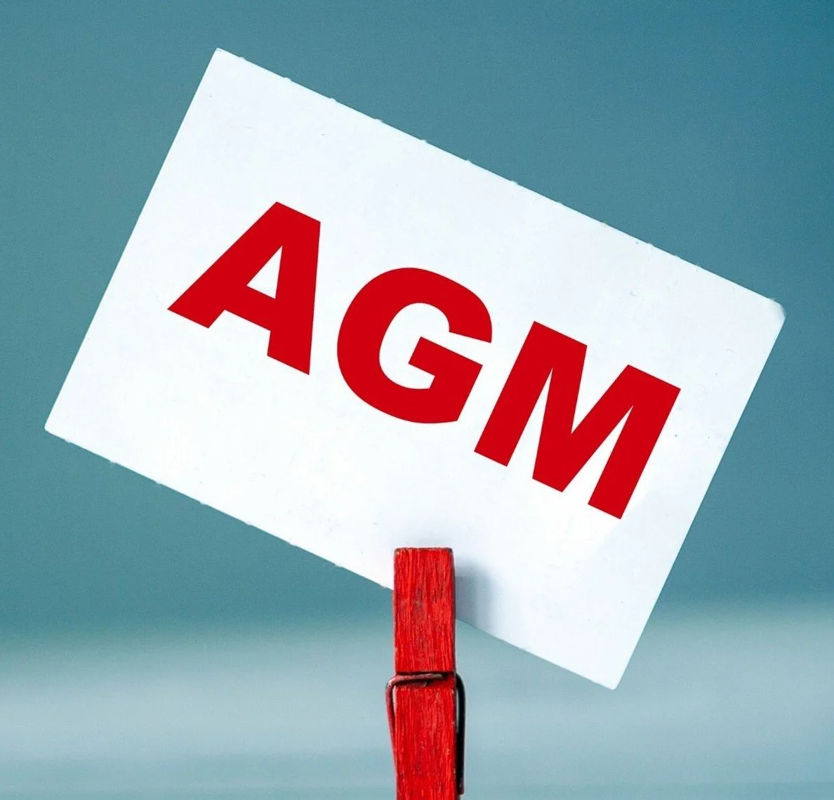 Sunbury Seniors AGM