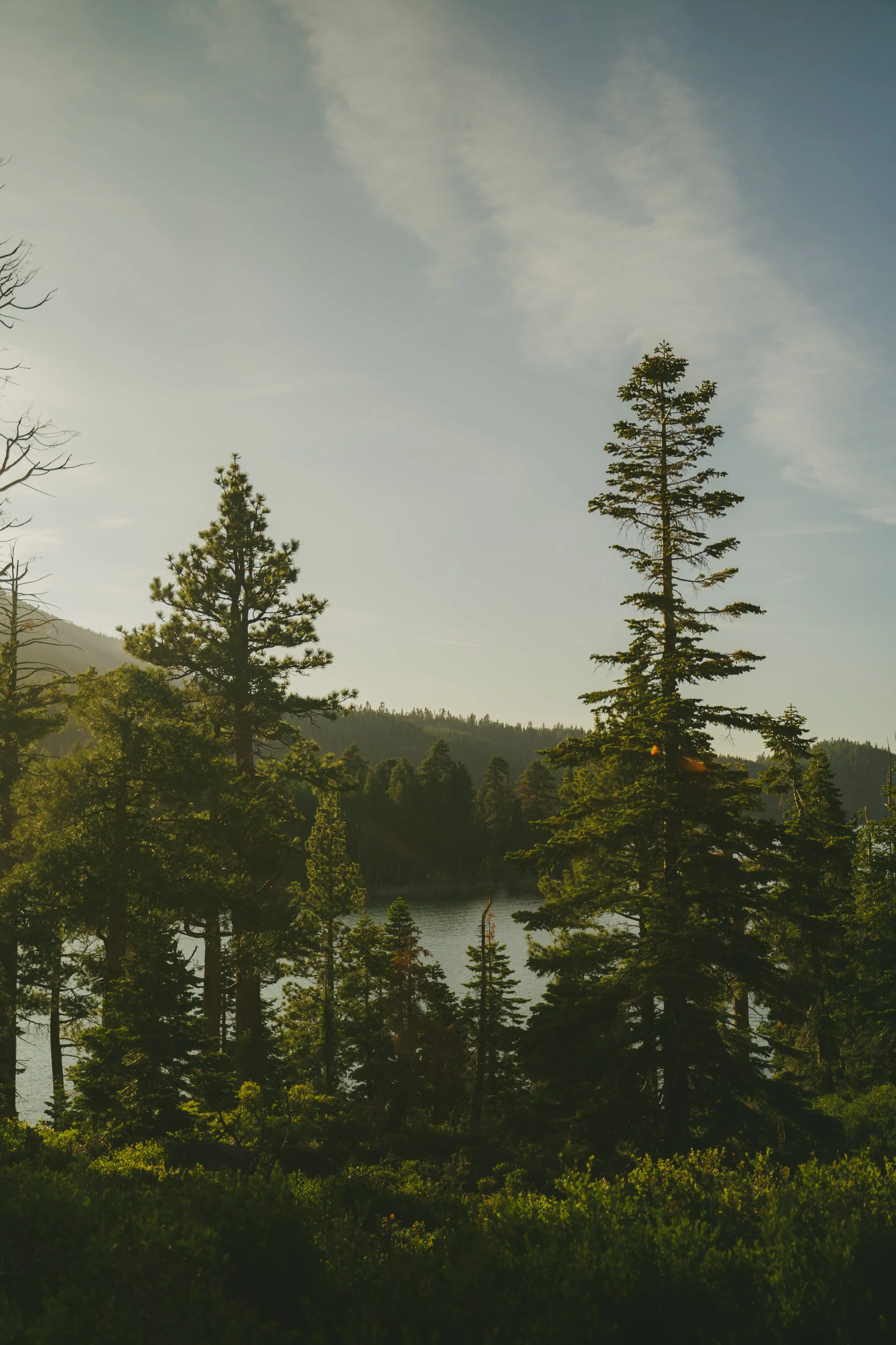 Emerald Bay Lake Tahoe Photo Print (8x10in)