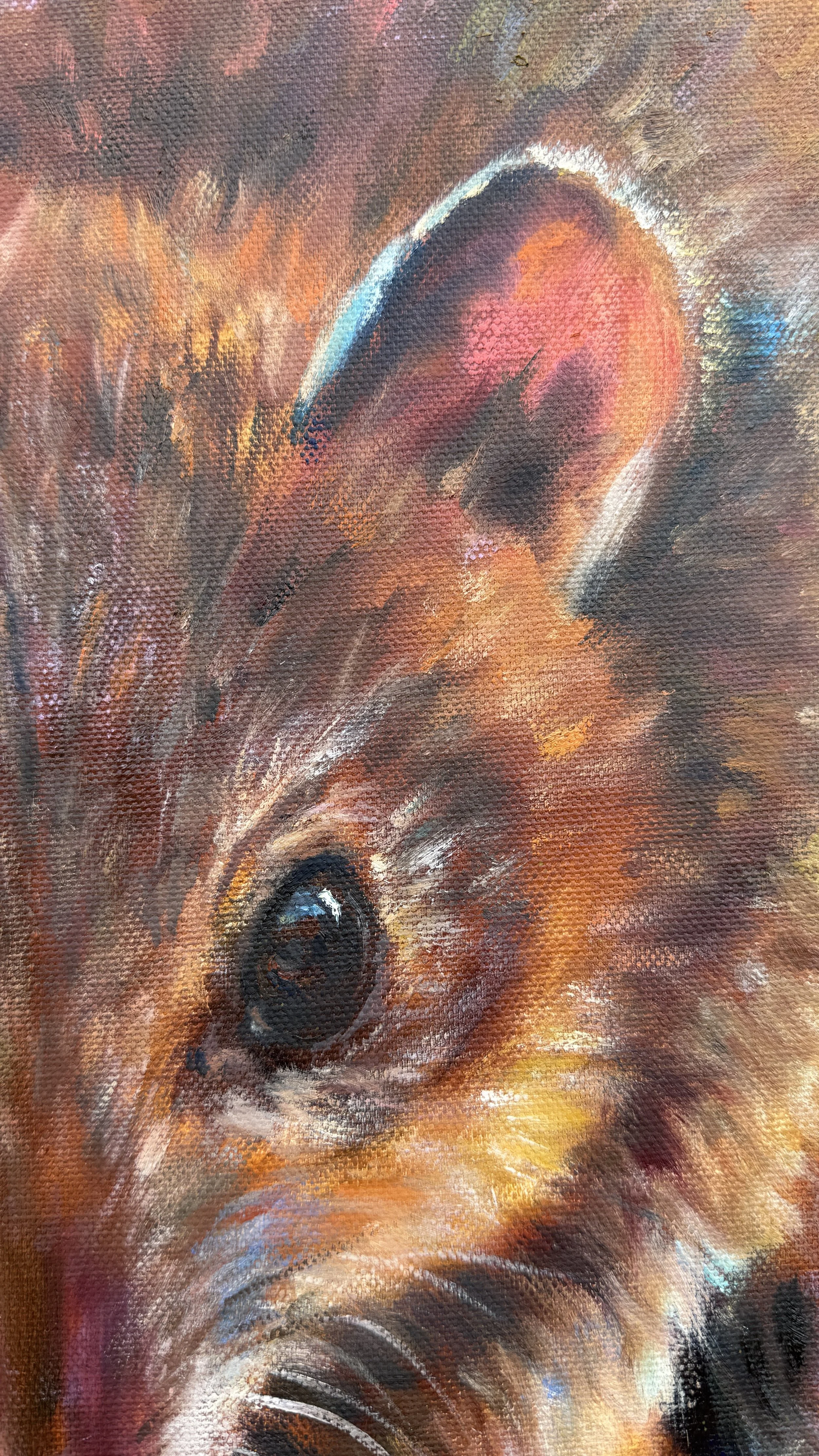 Bandicoot ear and eye detail.jpg