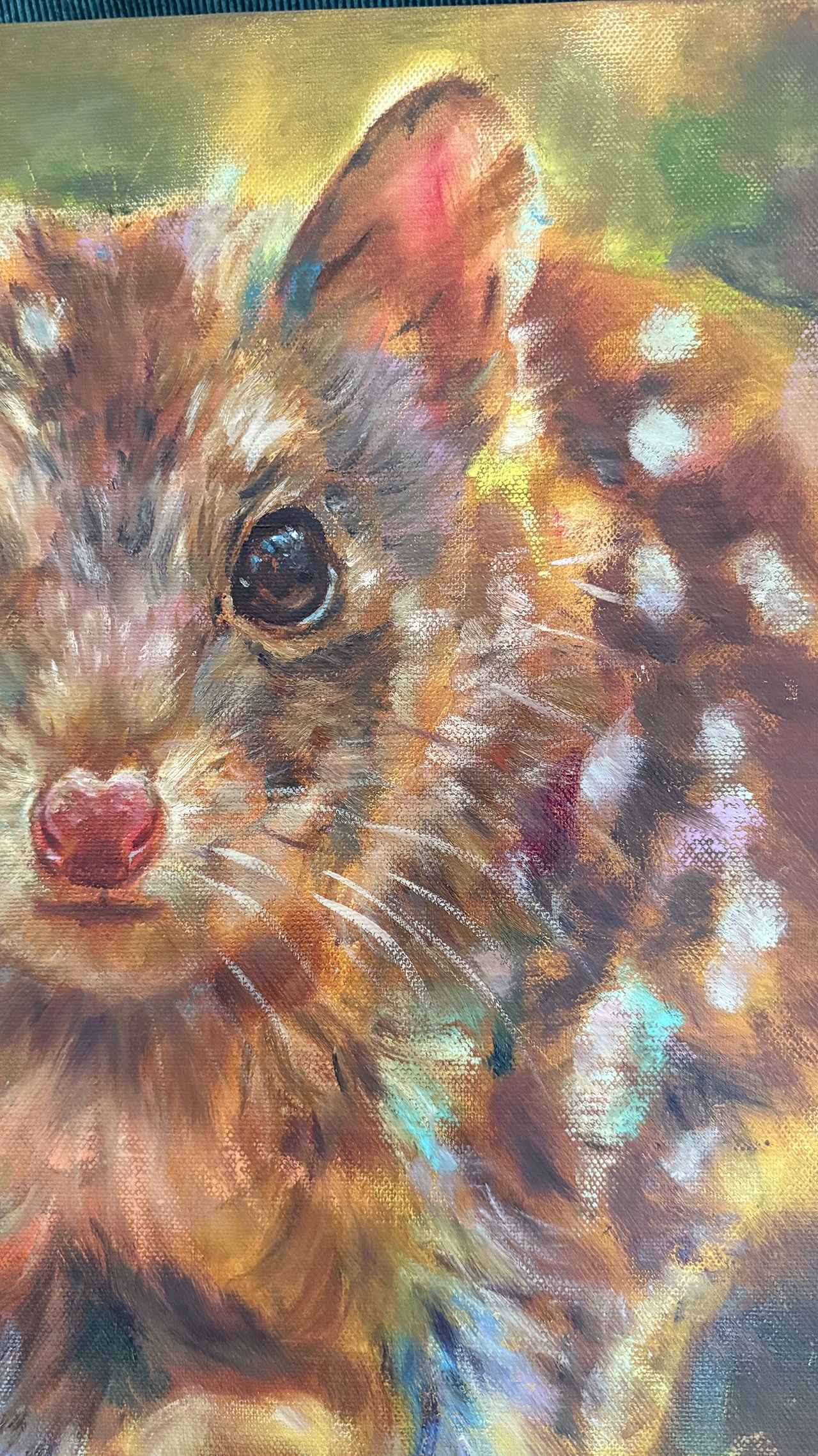 Spotted Quoll spots detail.jpg