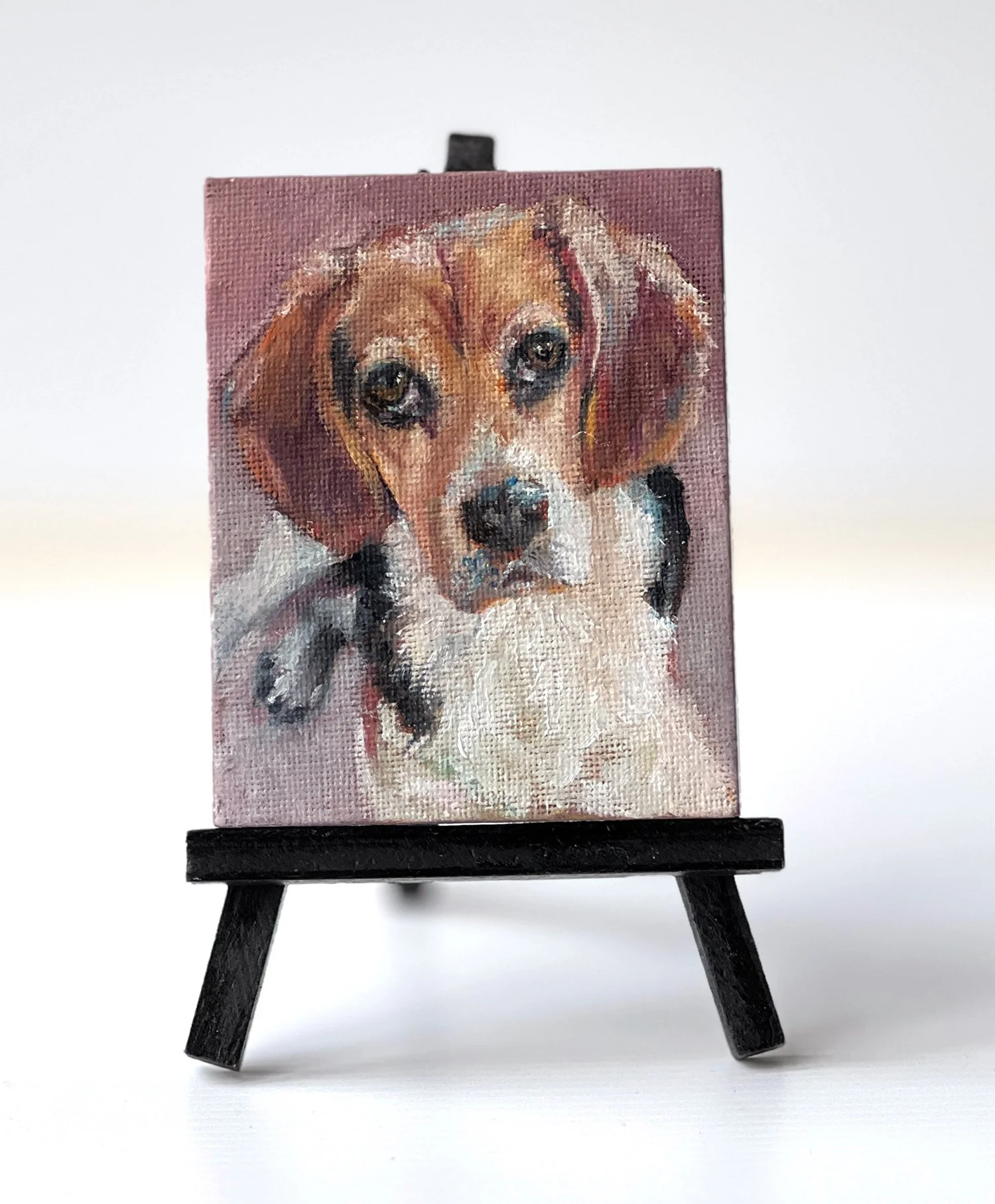 Beagle