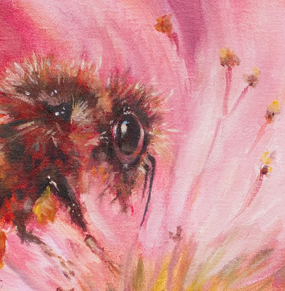 Blush eye detail.jpg