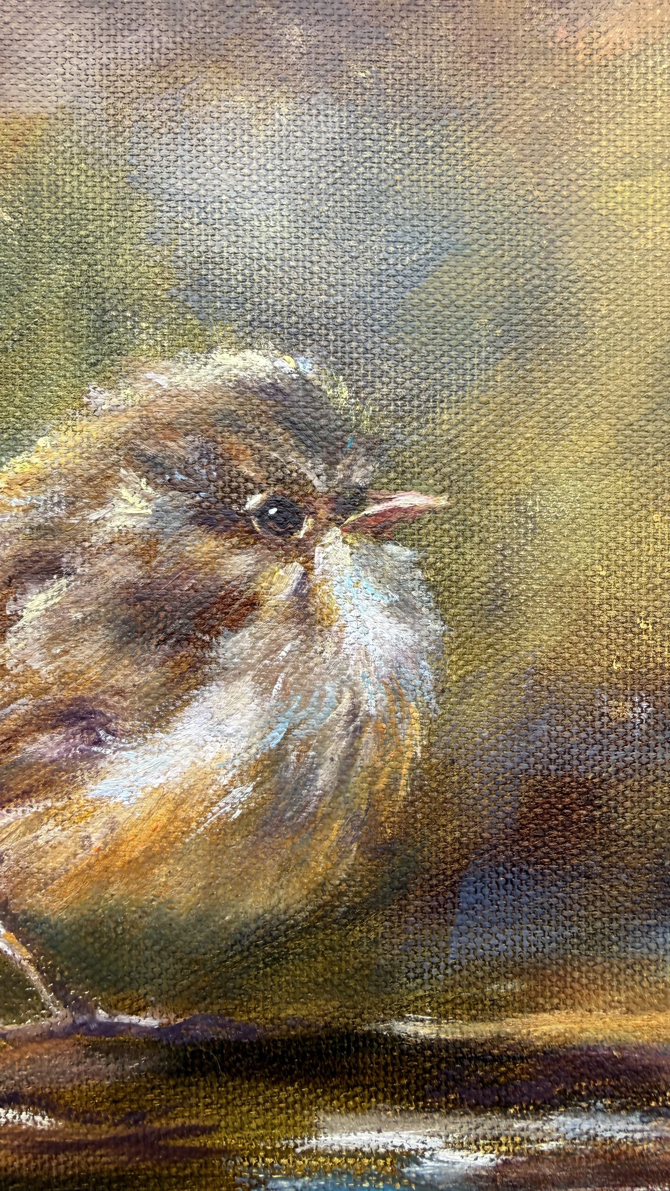 Wren eye detail.jpg