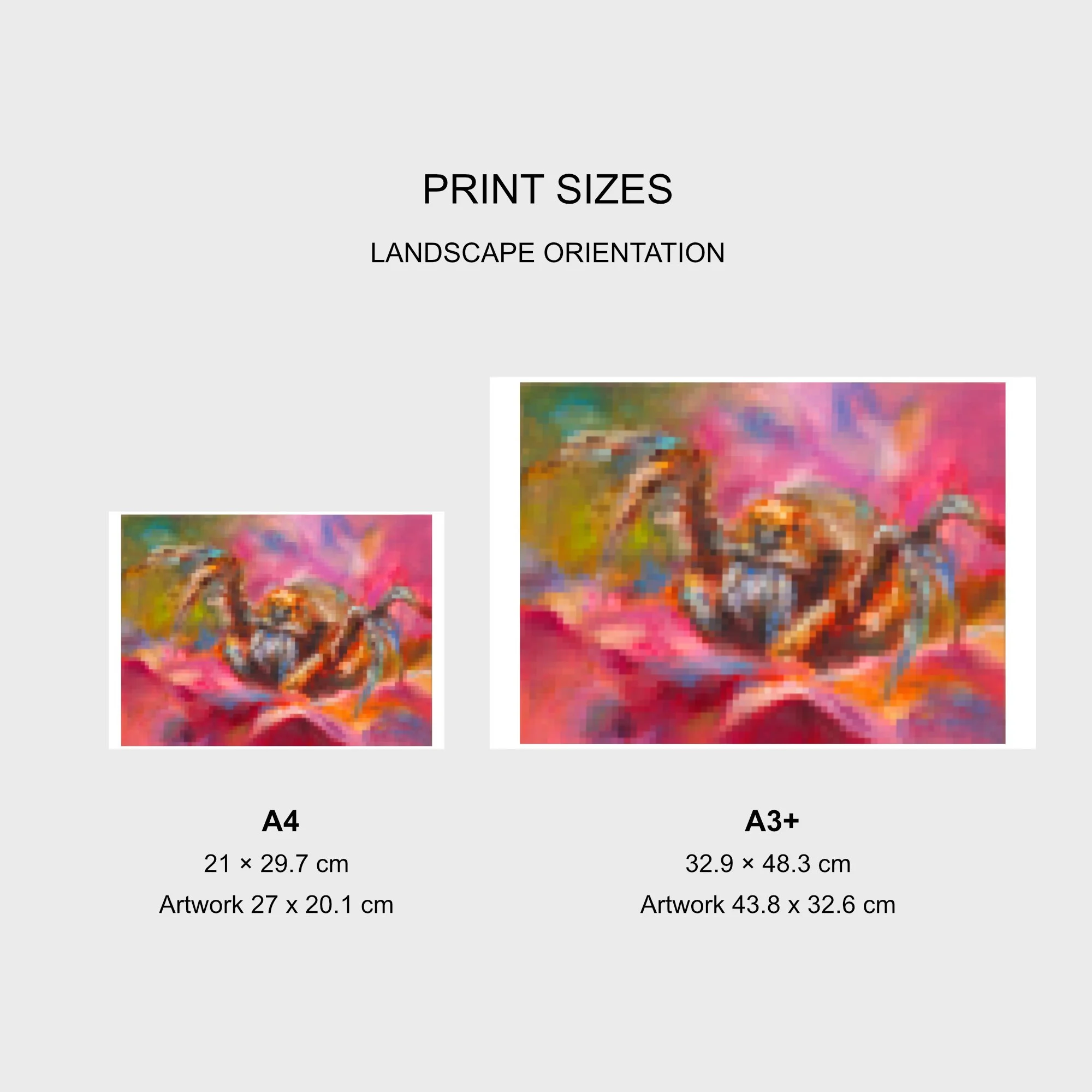 Fine Art Print Size Guide.jpg