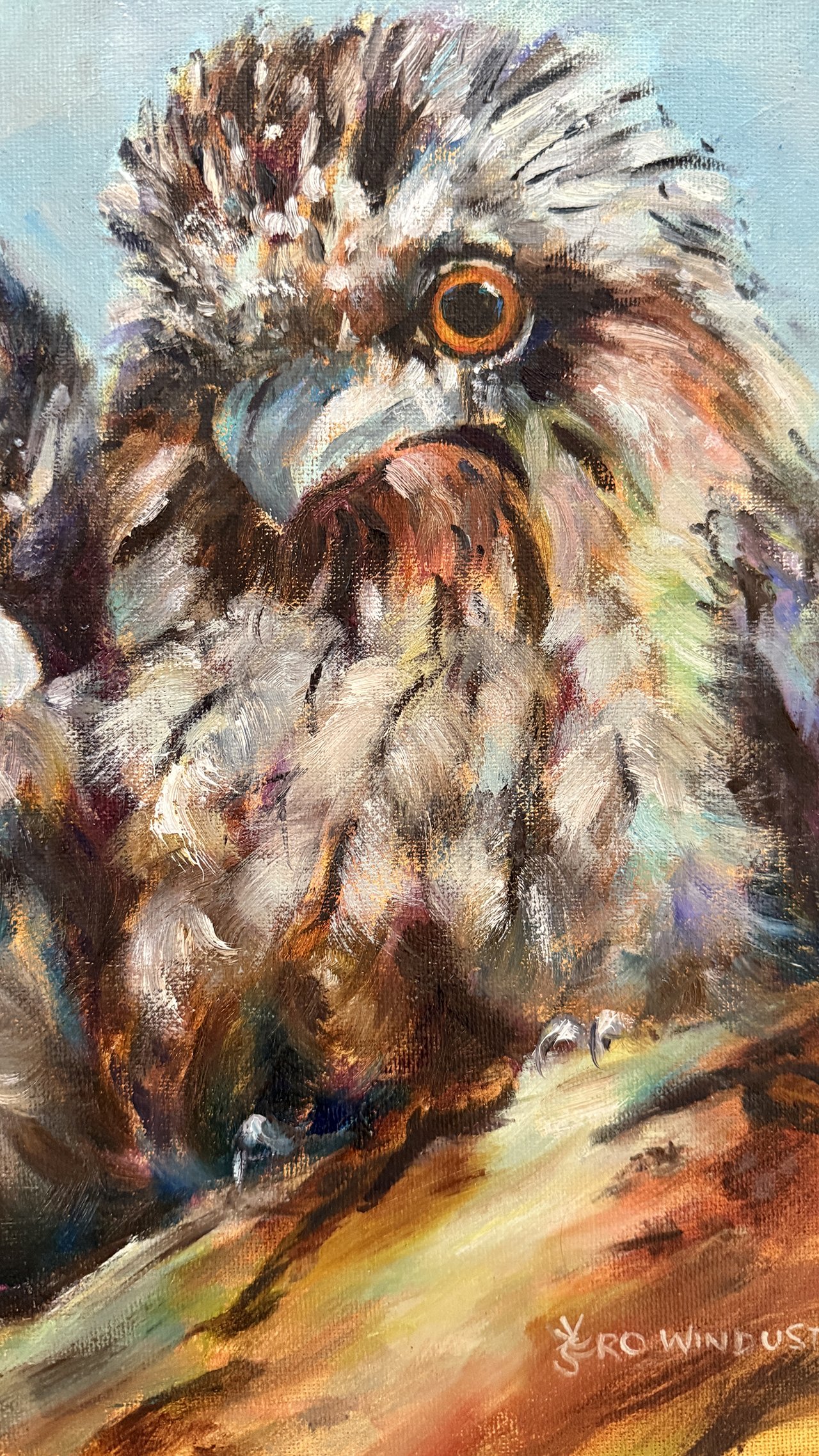 Tawny Frogmouth right.jpg