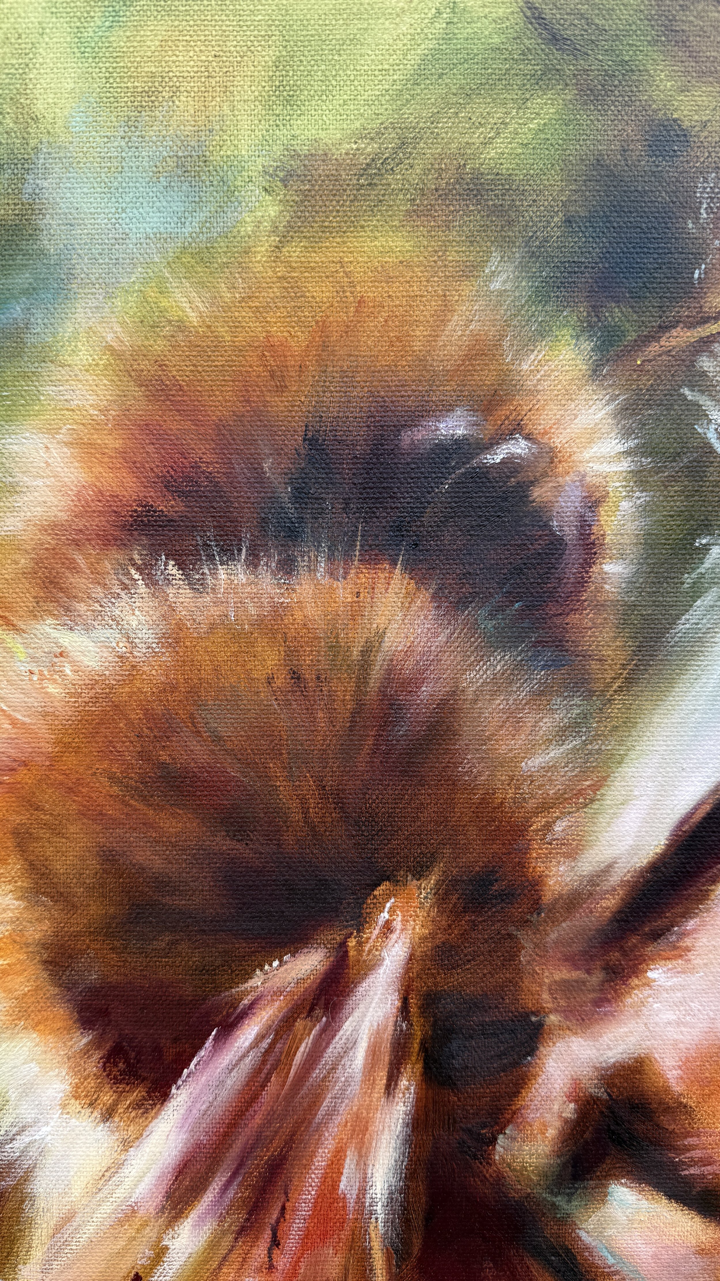 Close-up detail of the bee's eye in the original oil painting Alight by Australian artist Ro Windust.