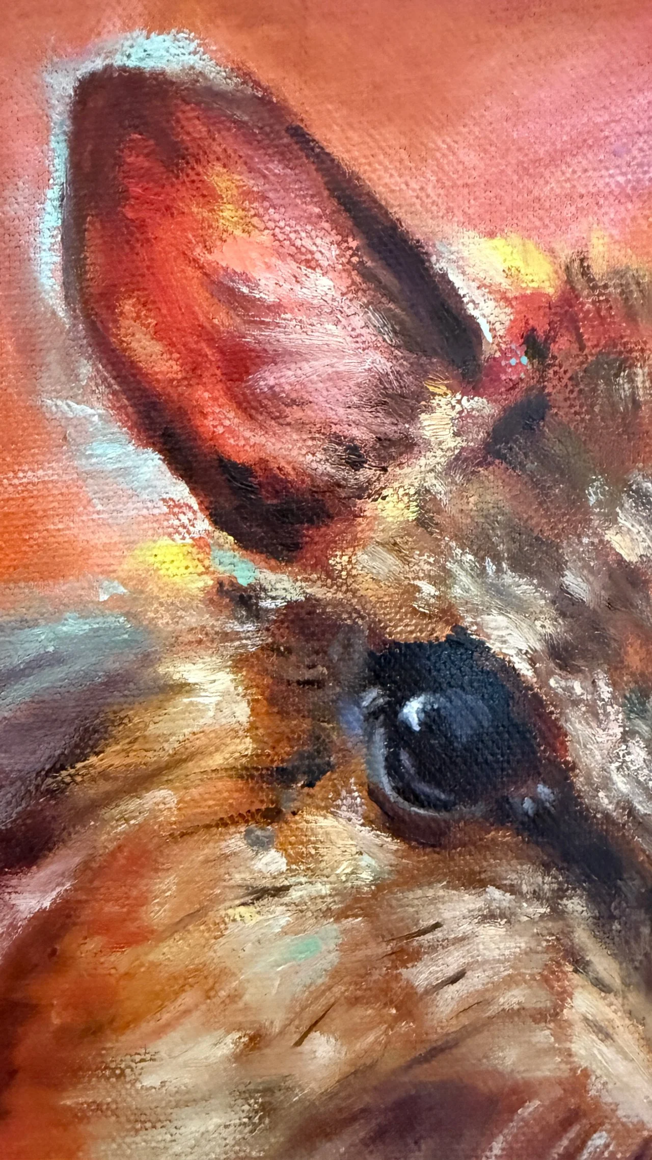 Numbat-eye-detail.jpg
