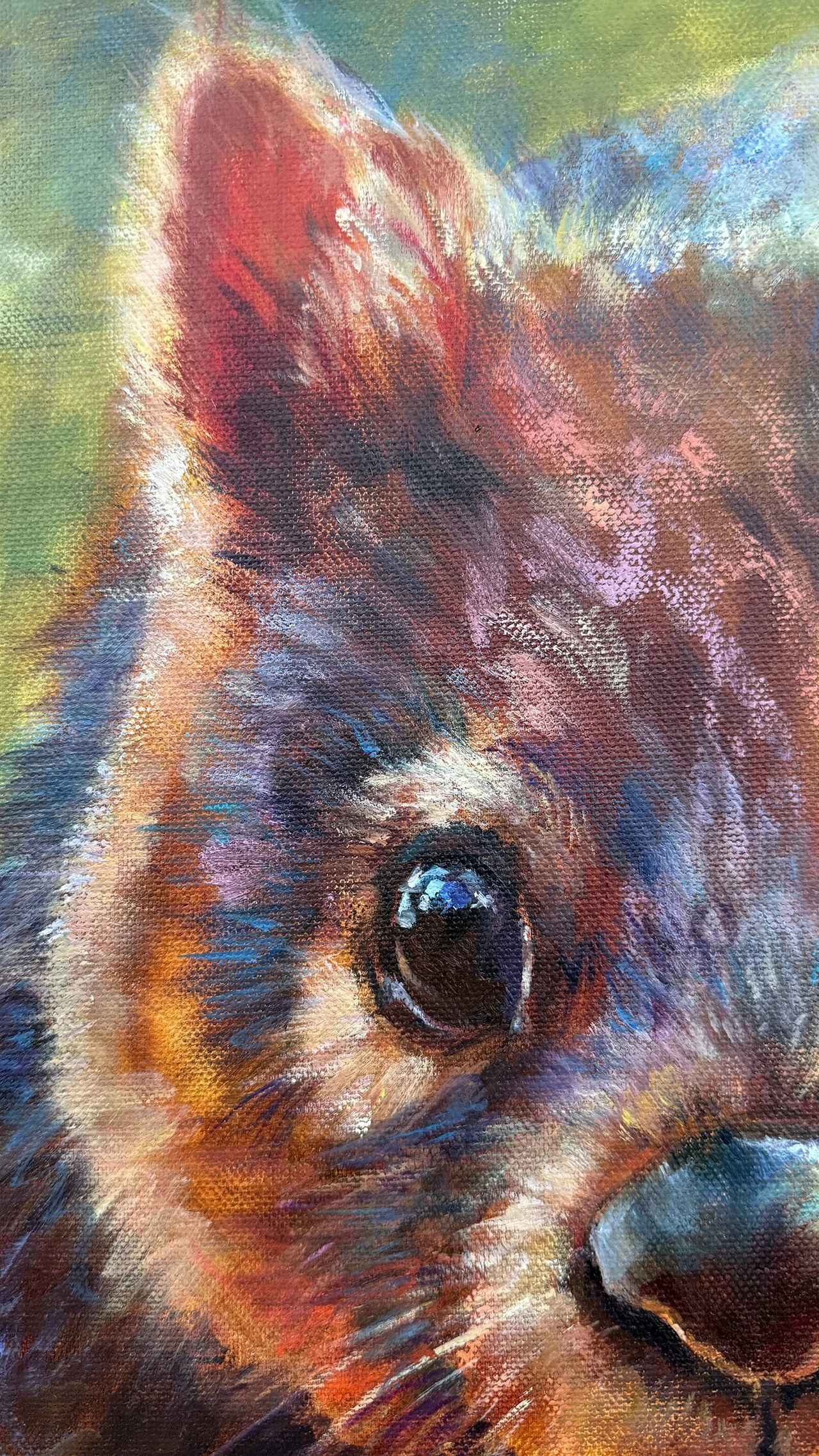 Wombat Detail ear