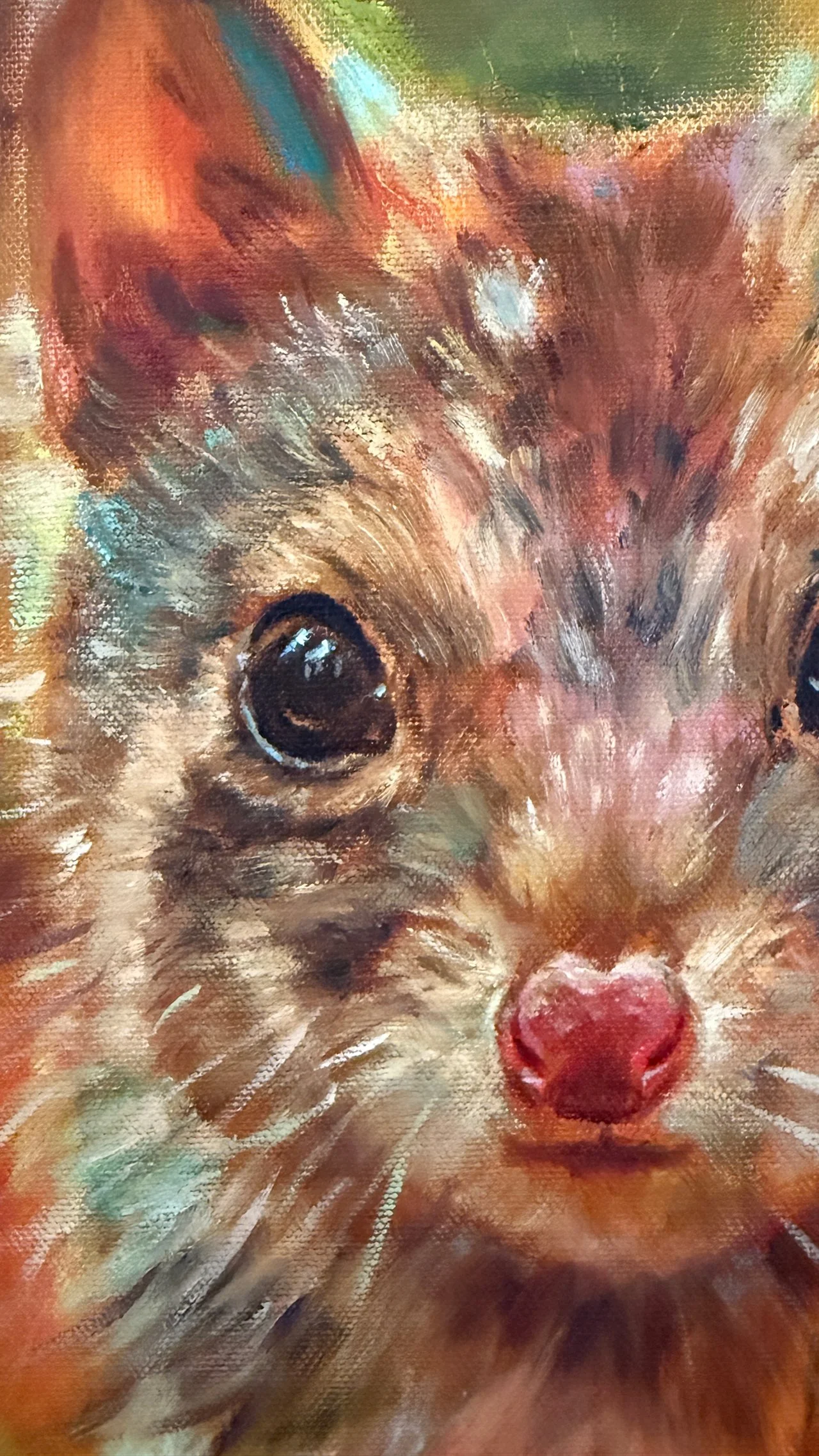 Spotted-Quoll-face.jpg