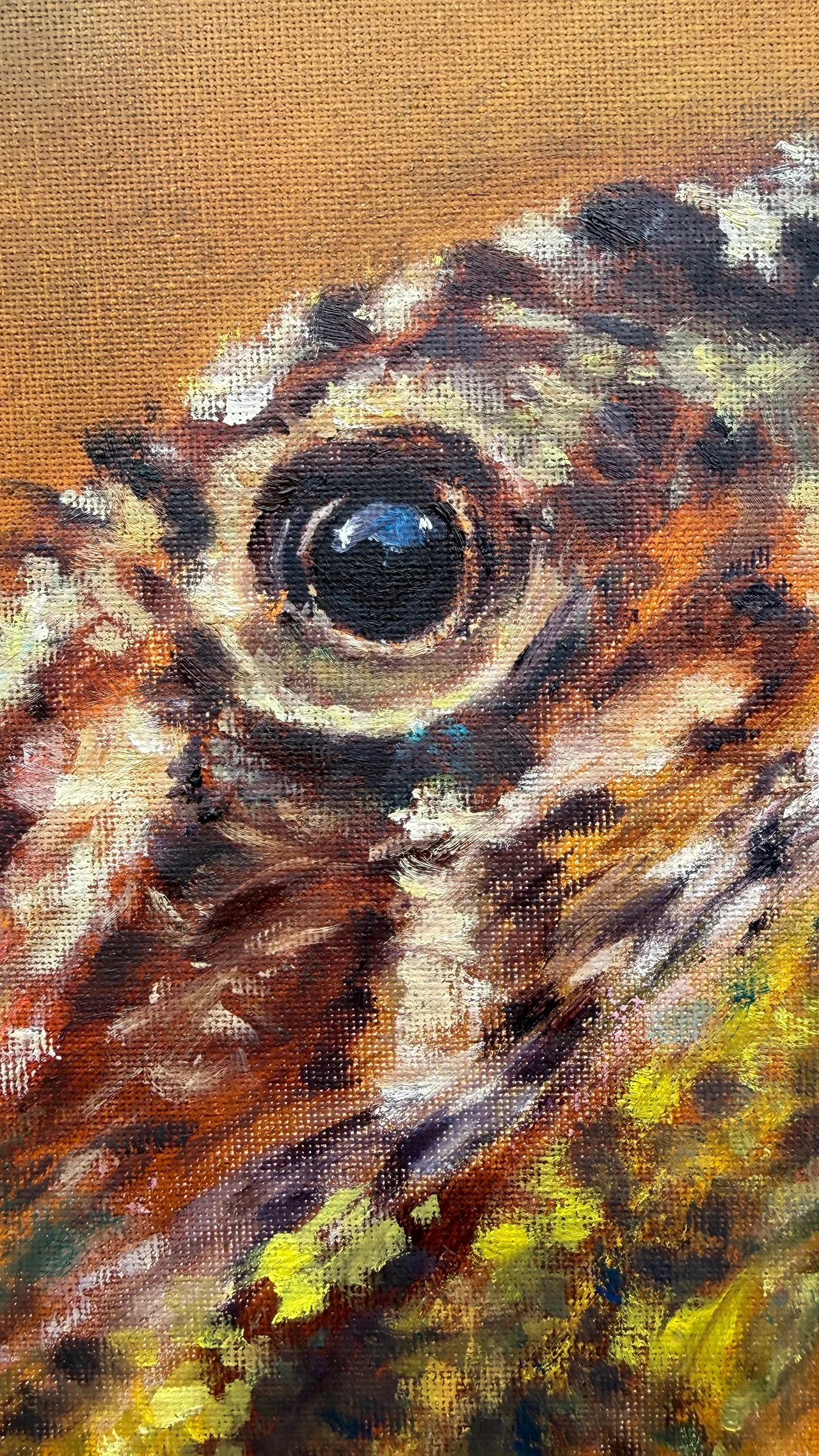 Monaro-dragon-eye-detail.jpg