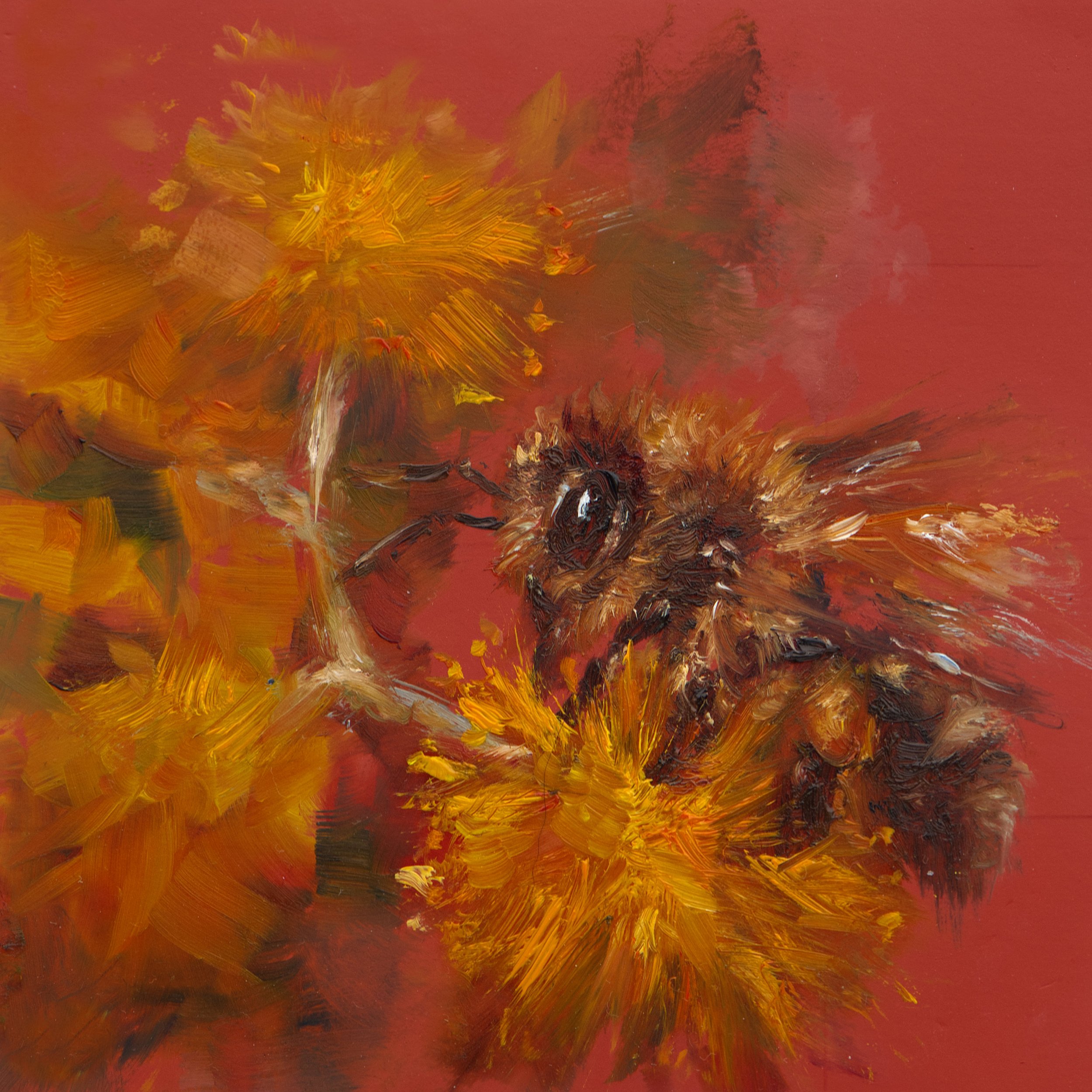 Desert-Bloom-Bee-Artwork.jpg