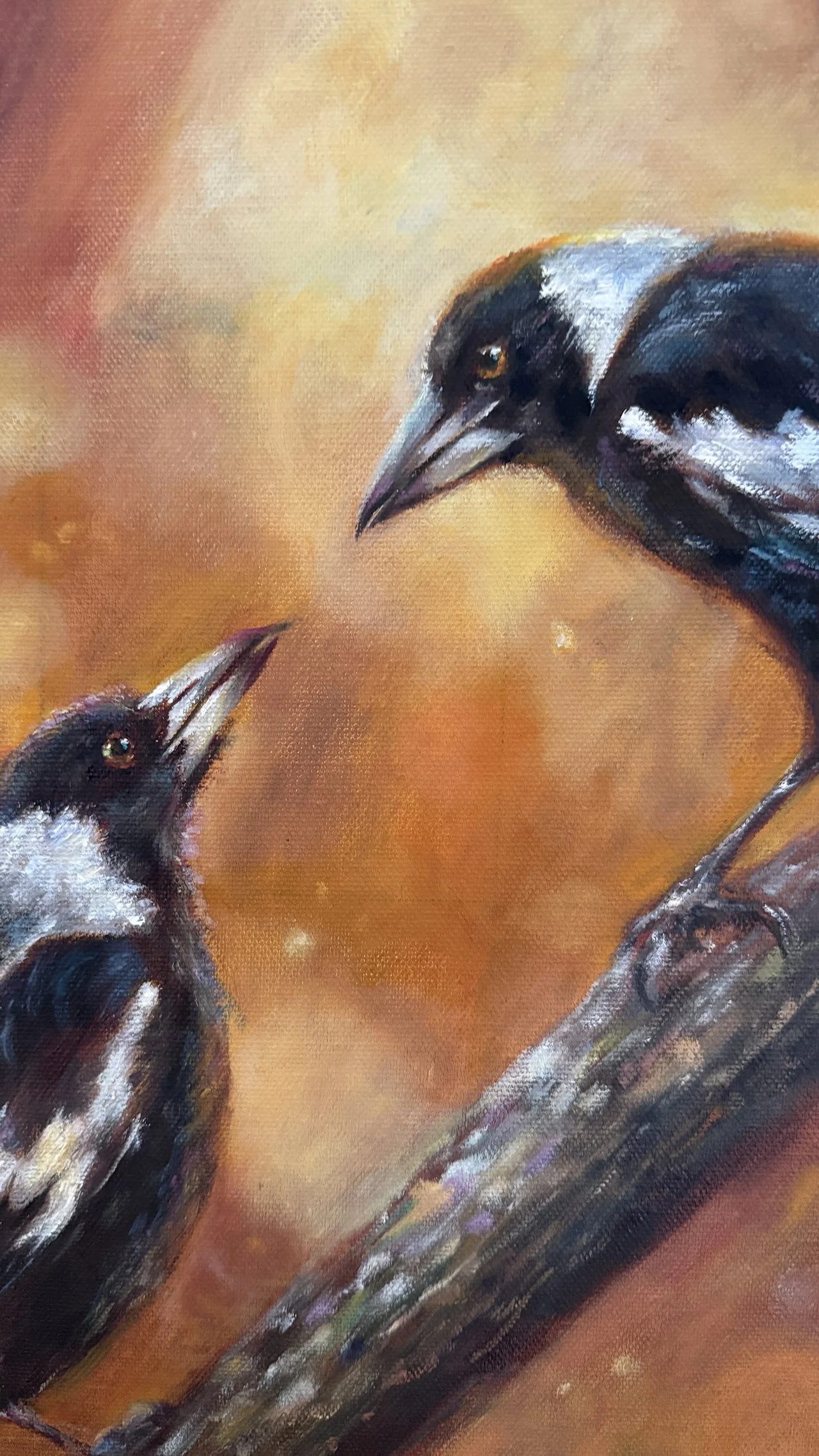 Magpie faces detail.jpg