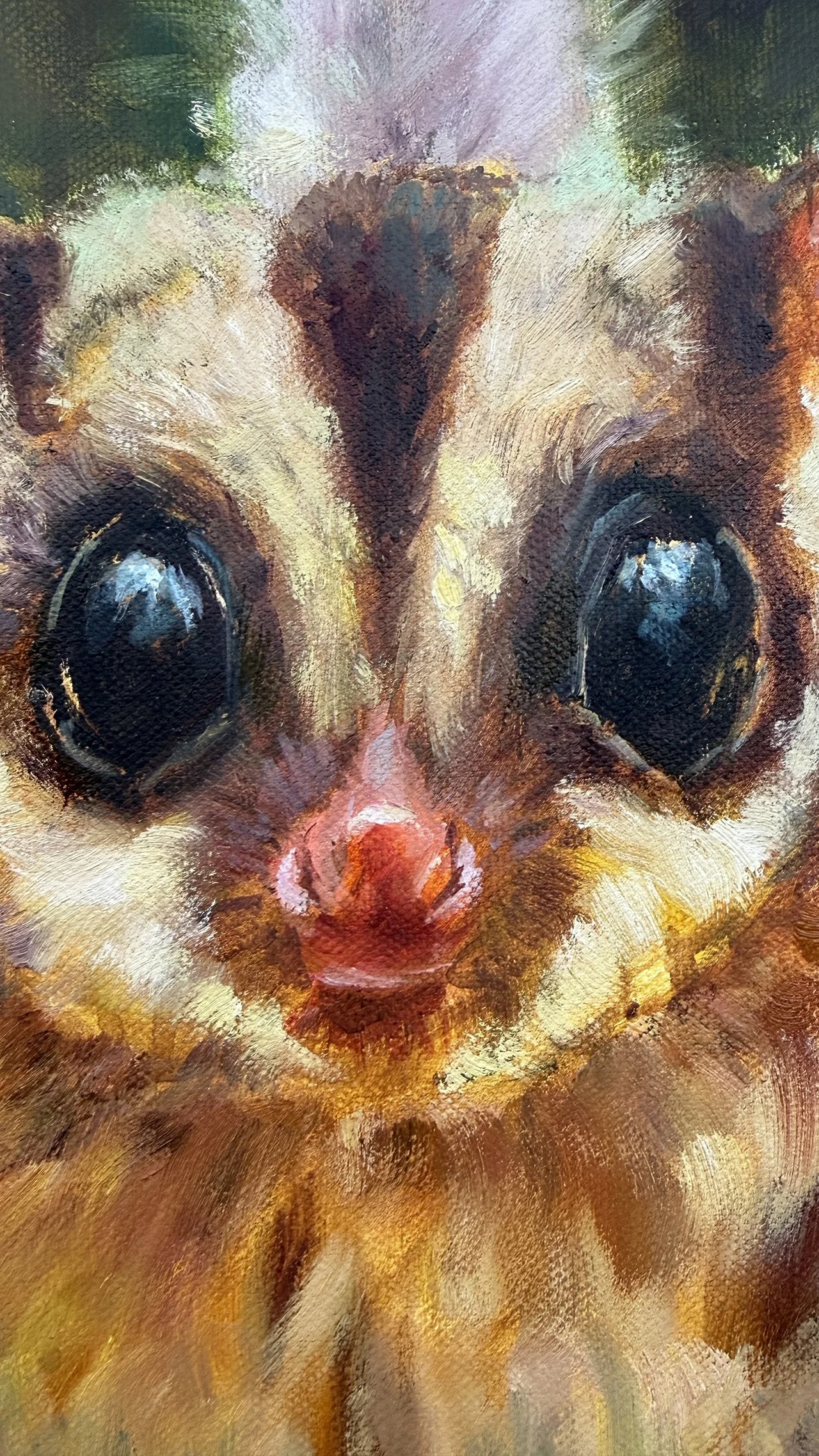 Close-up of a sugar glider’s eye with reflections and surrounding textured fur.