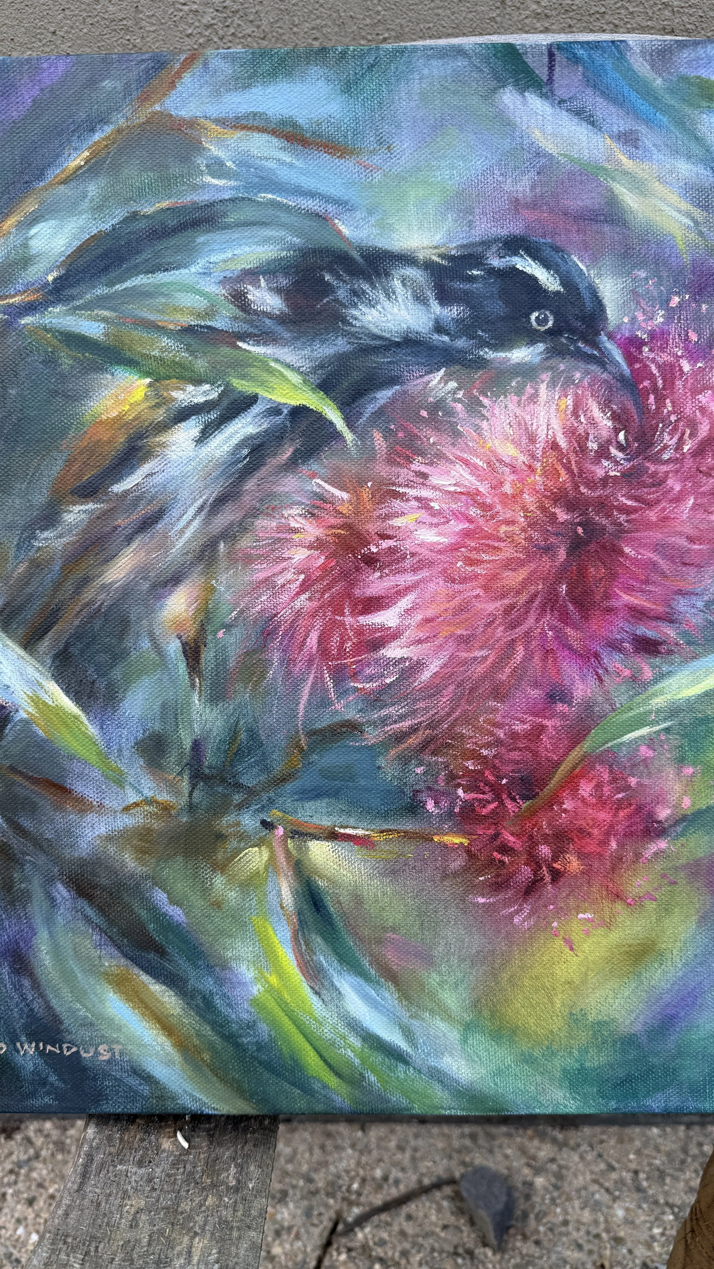 Nectar honeyeater detail.jpg