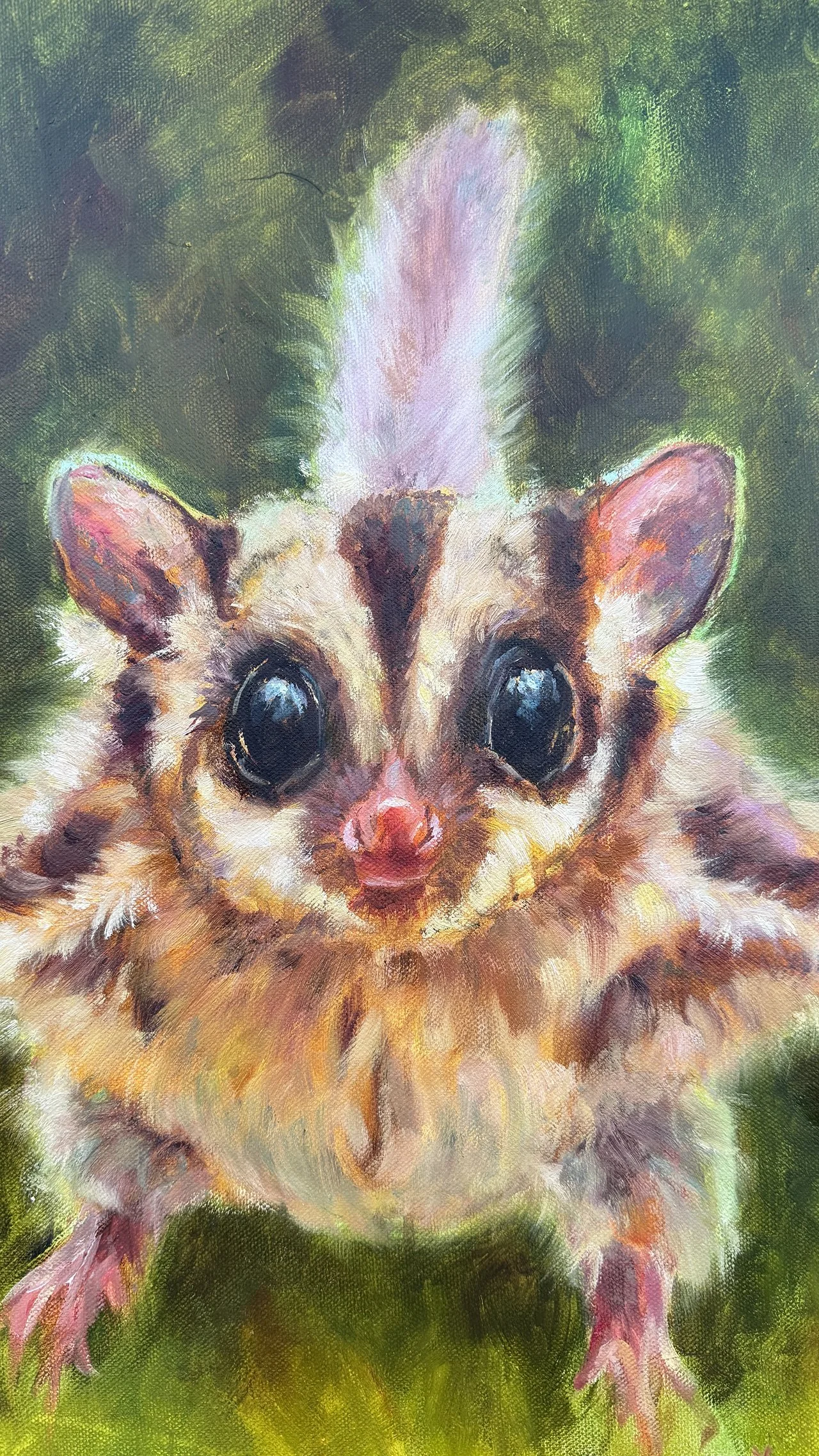 Close-up of a sugar glider’s face showing large dark eyes, soft fur, and pink nose.