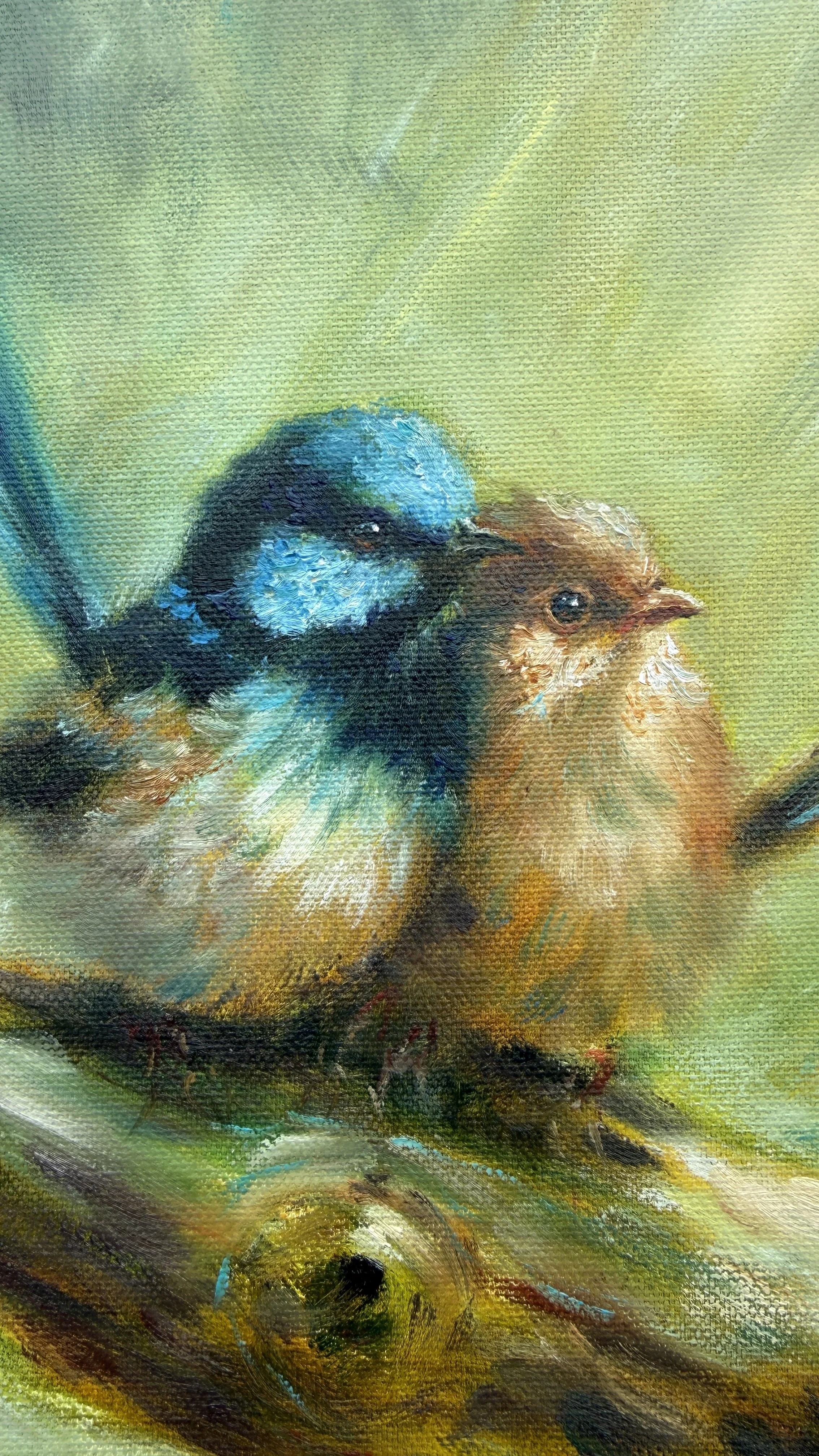 Wrens pair.jpg