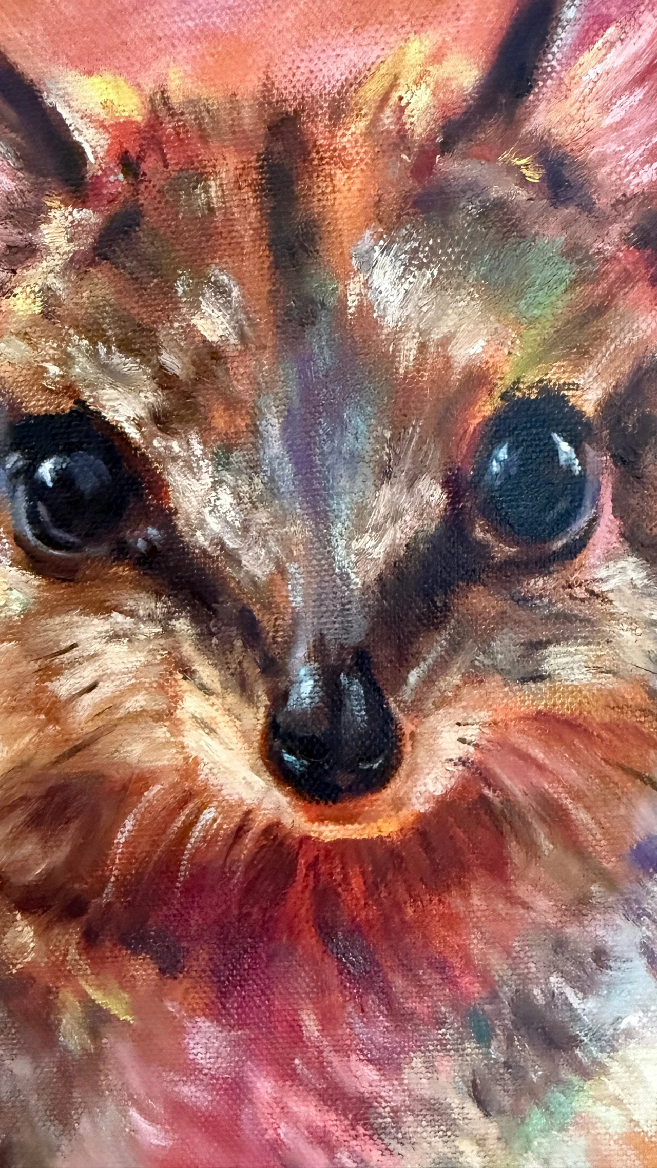 Numbat-Face-detail.jpg