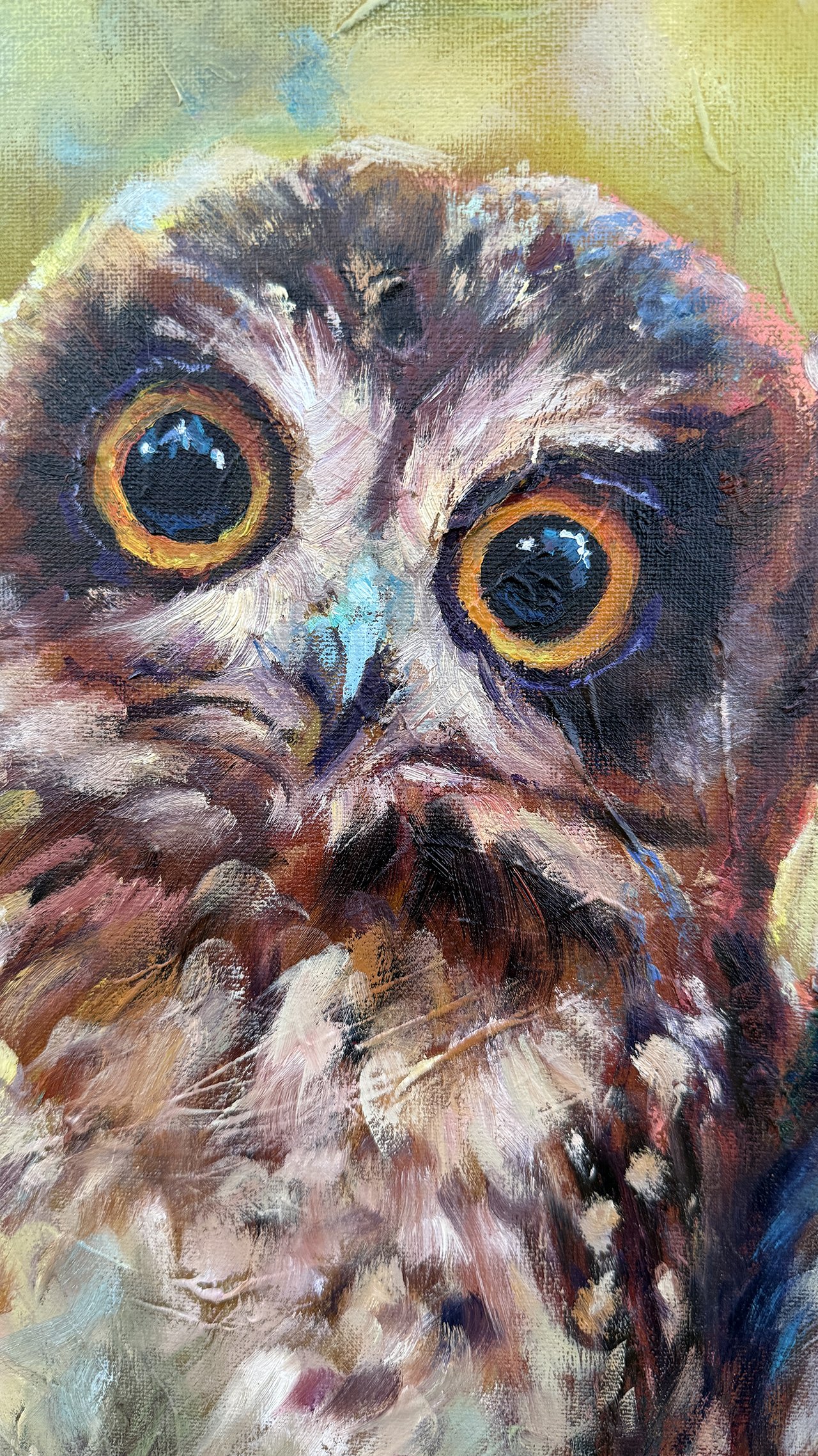 Close-up of left owl’s eye with bright colour and layered brushwork.