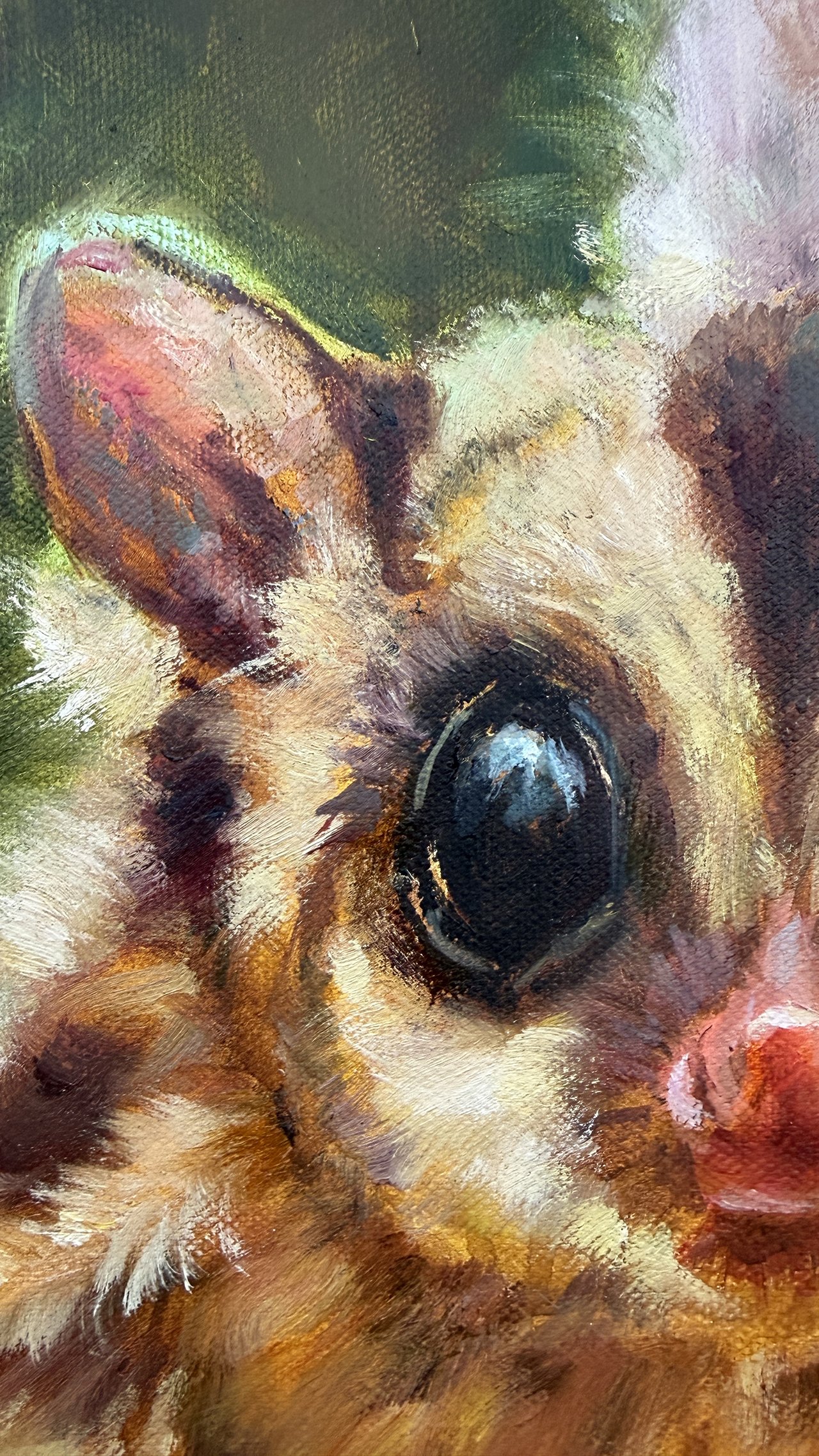 Close-up of a sugar glider’s eye with reflections and pink nose