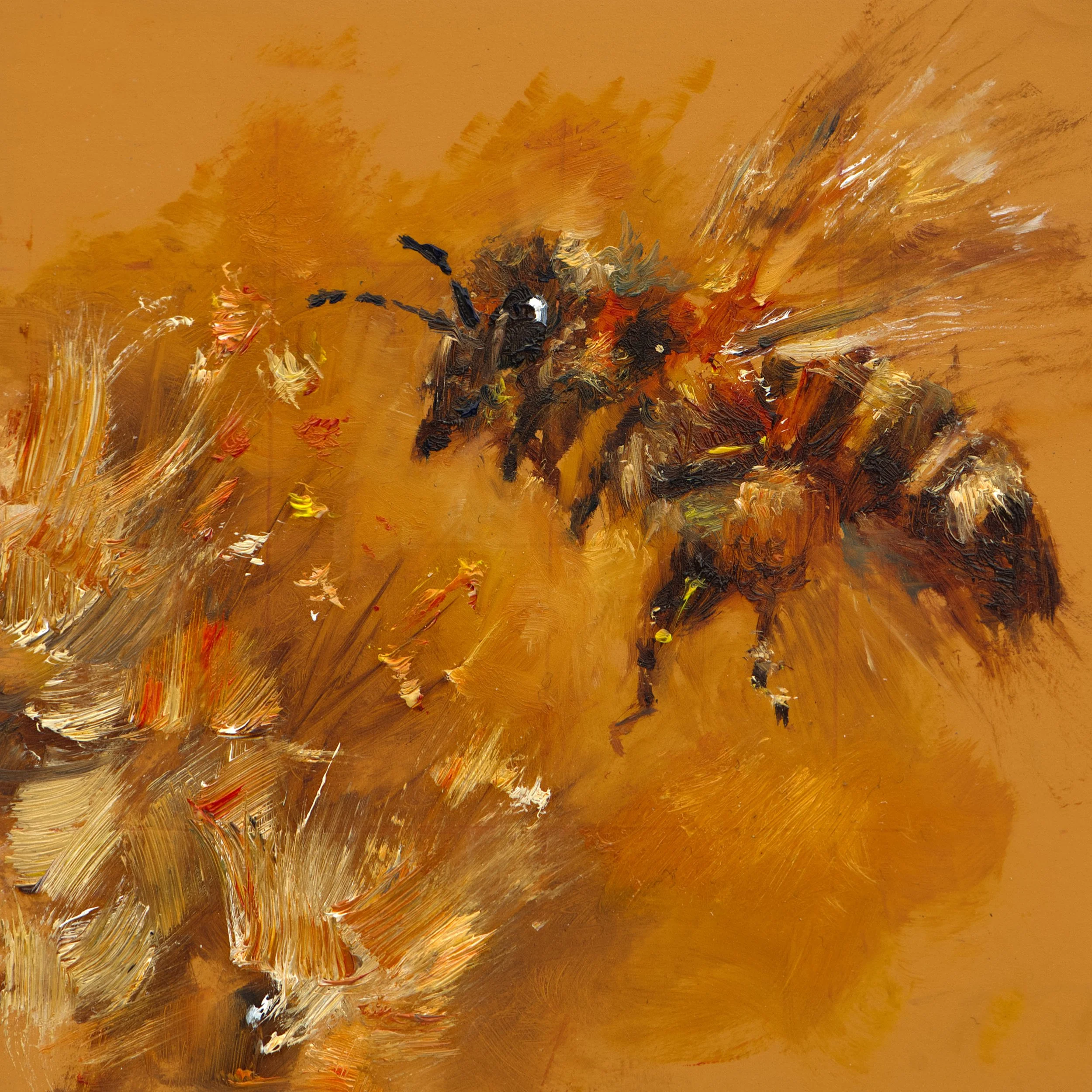 Sugar-Rush-Bee-Artwork.jpg