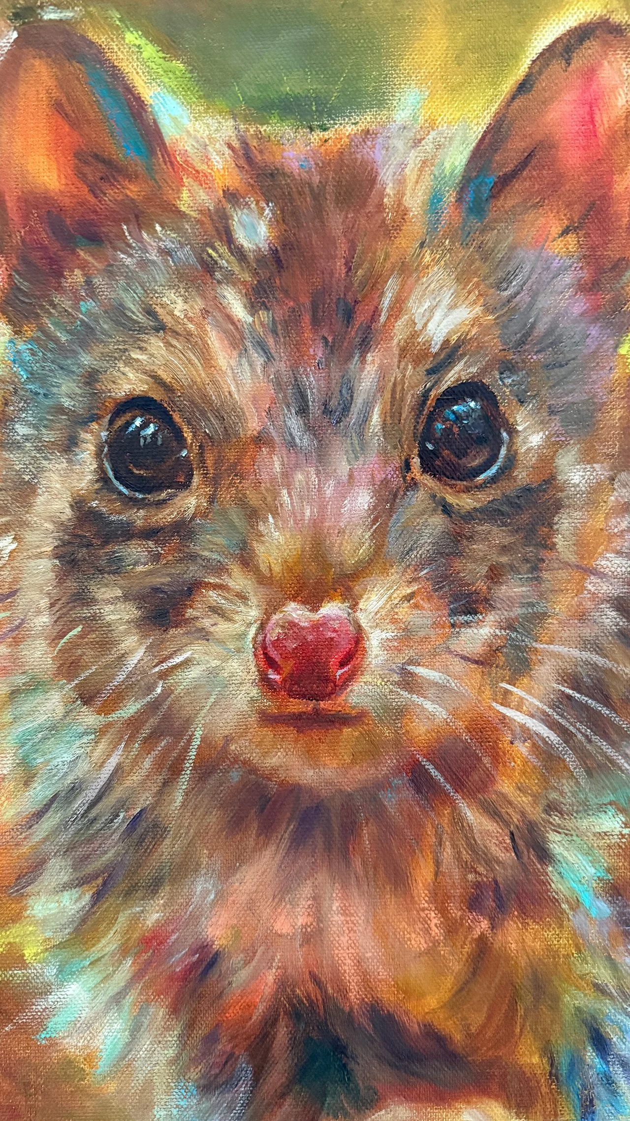 Spotted-Quoll-face-detail.jpg
