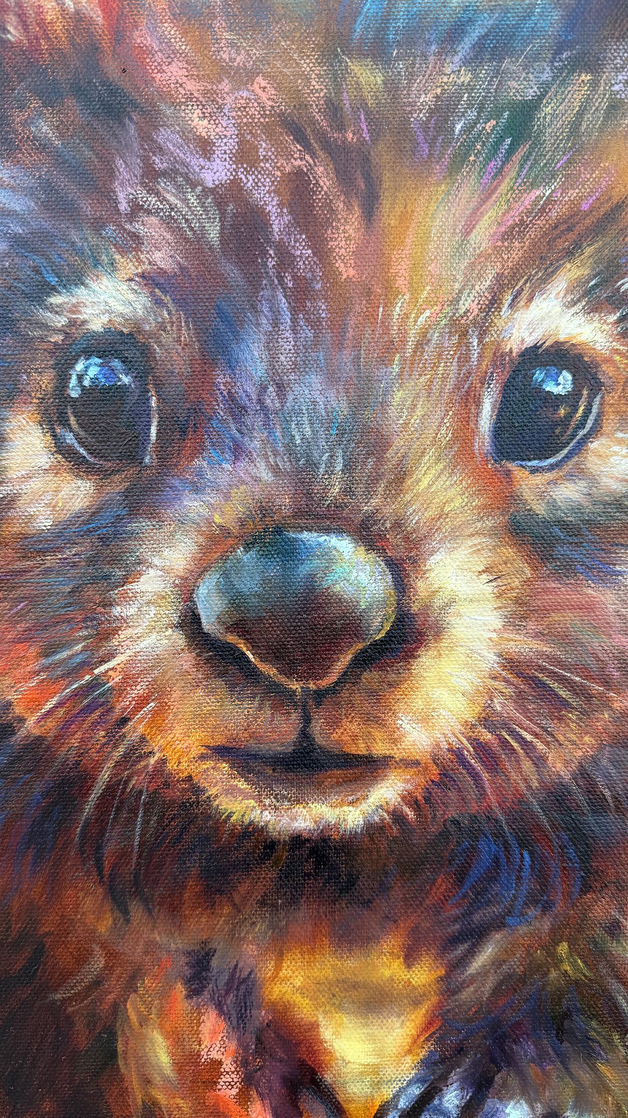 Wombat detail face