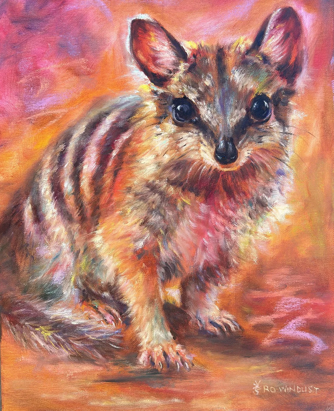 Numbat full image.jpg