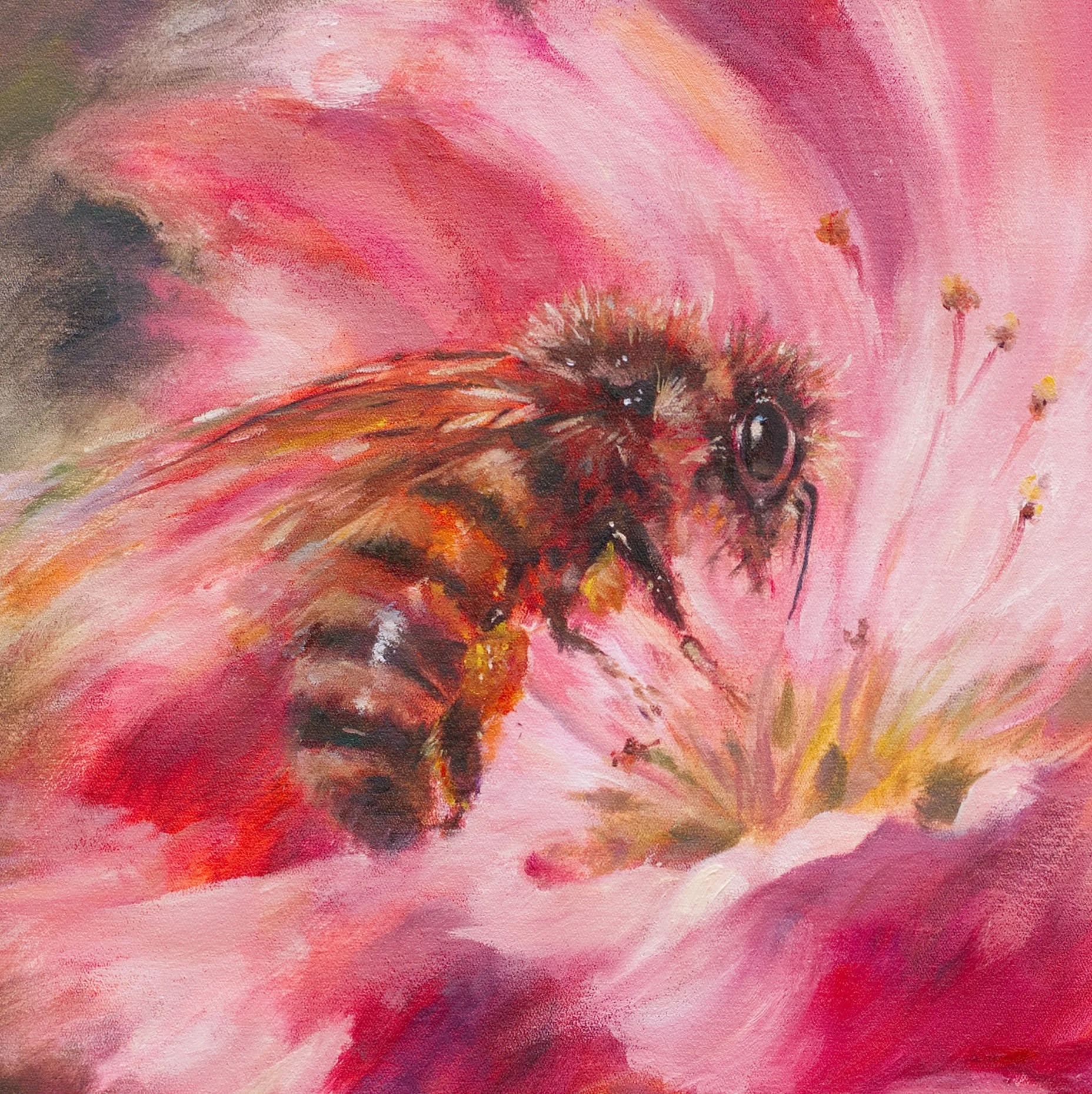 Blush bee detail.jpg
