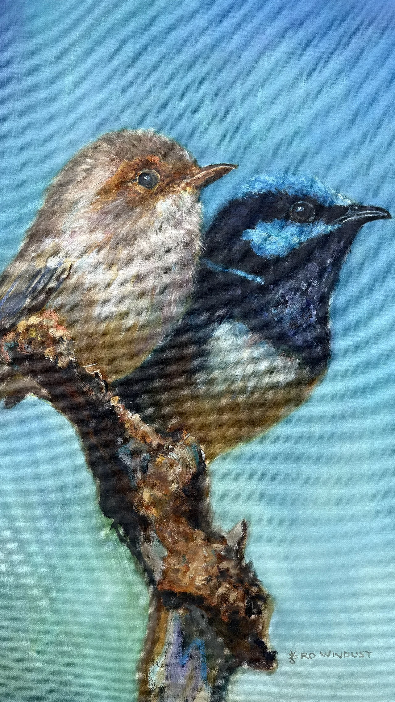 Wrens Together Closeup.jpg