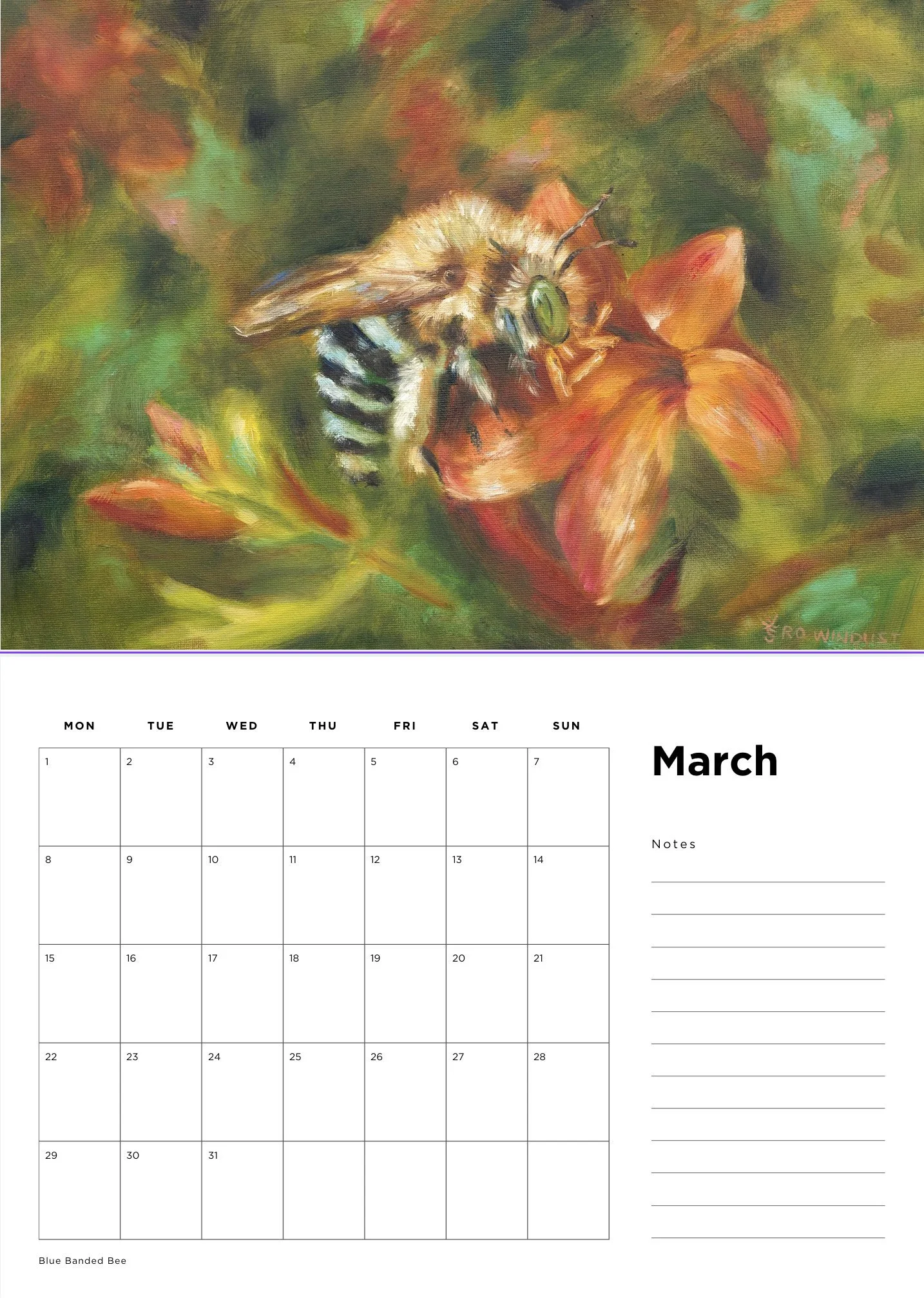 Australian Insects Calendar internal.jpg