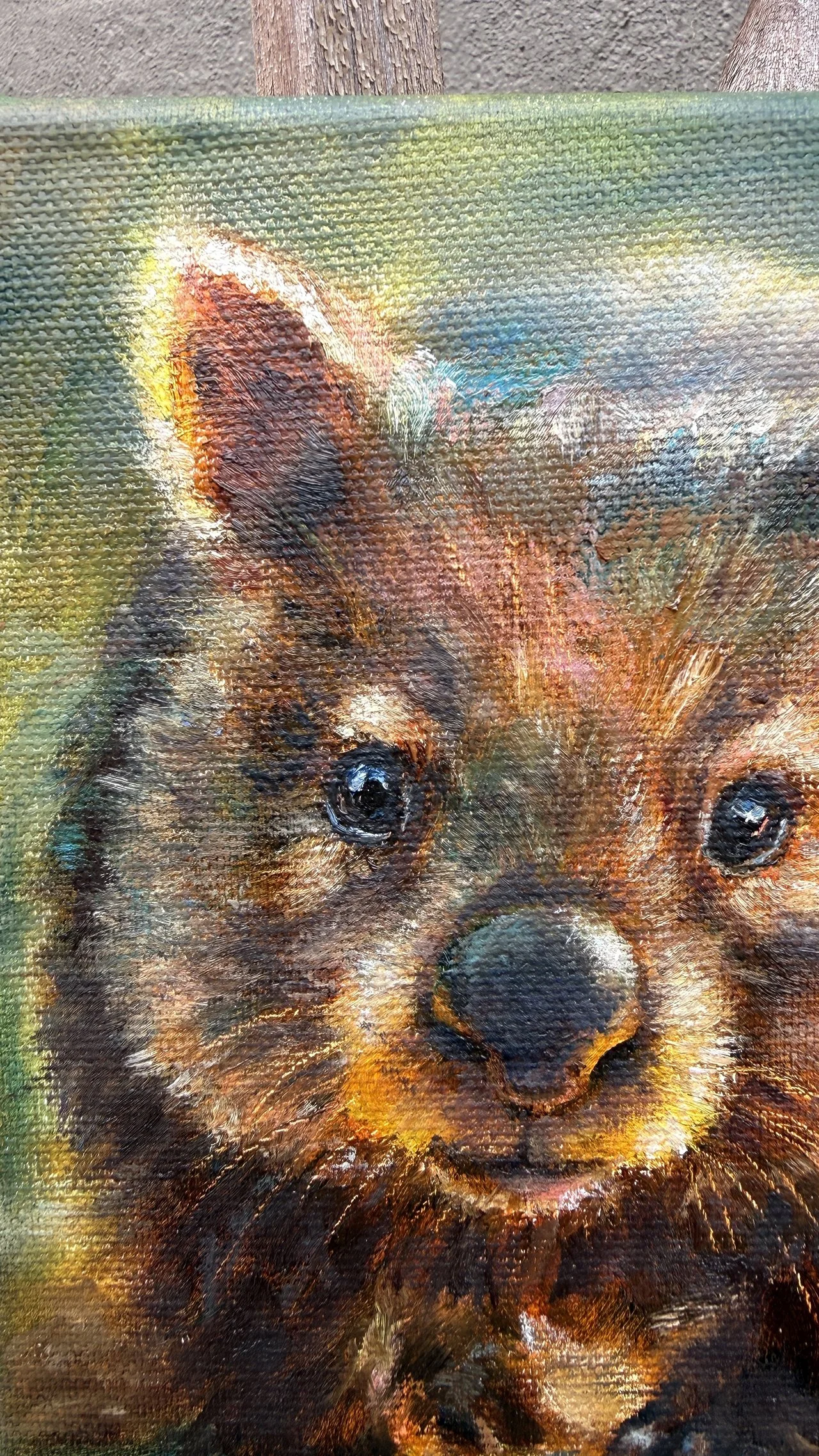 Wombat 6x8 face detail.jpg