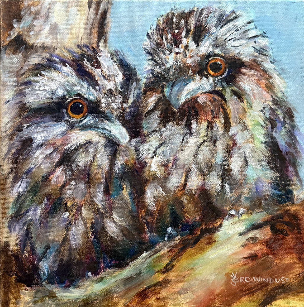 Tawny Frogmouths full image.jpg
