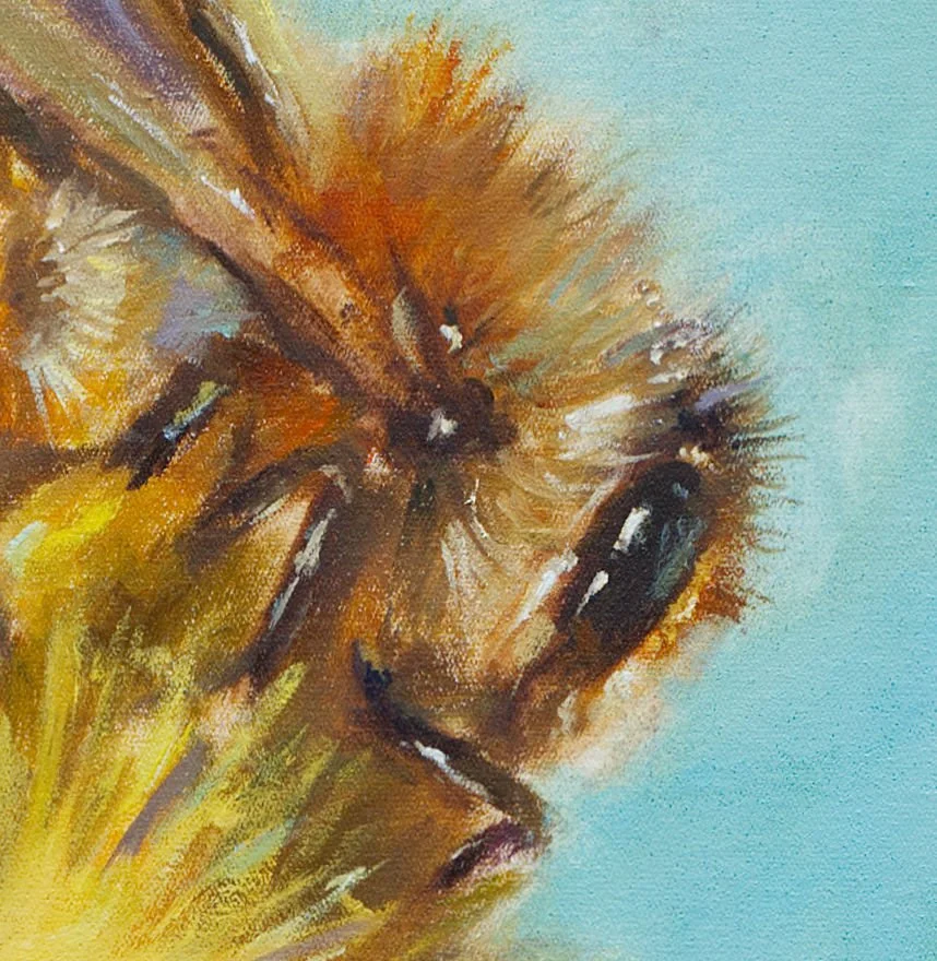 Bask eye detail.jpg