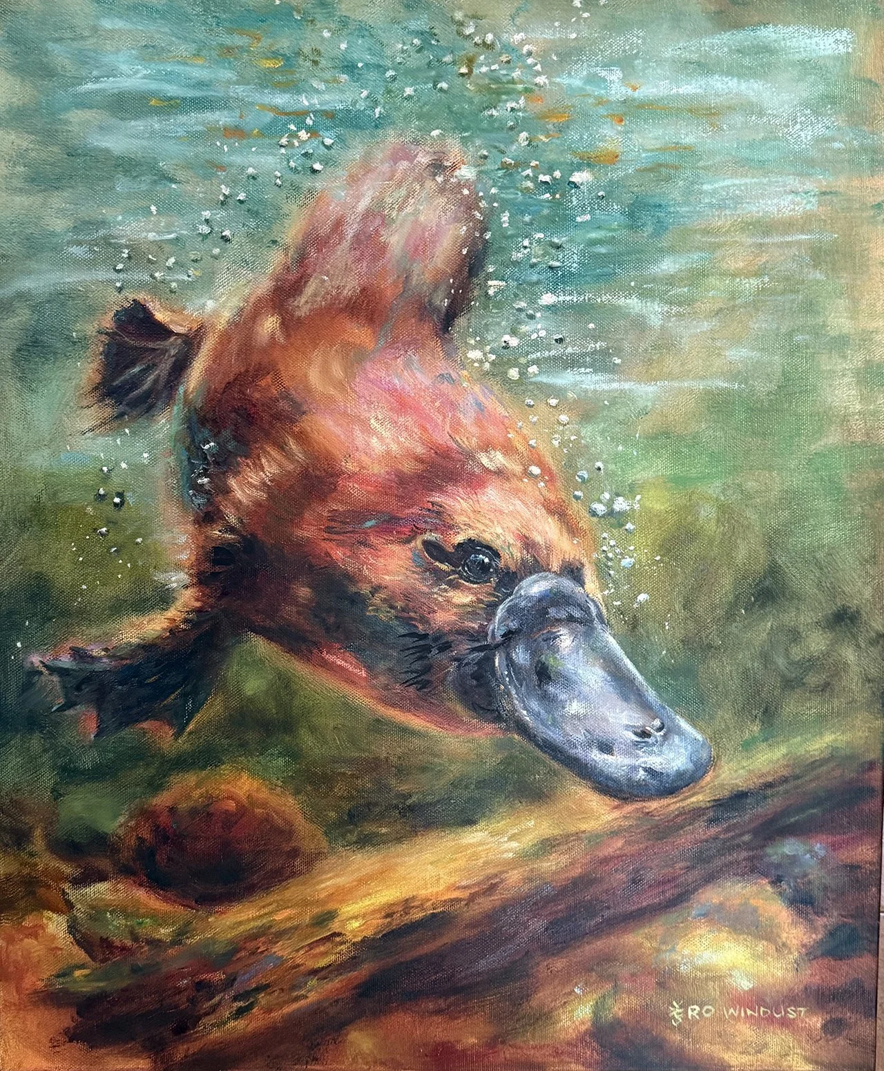 Original platypus oil painting
