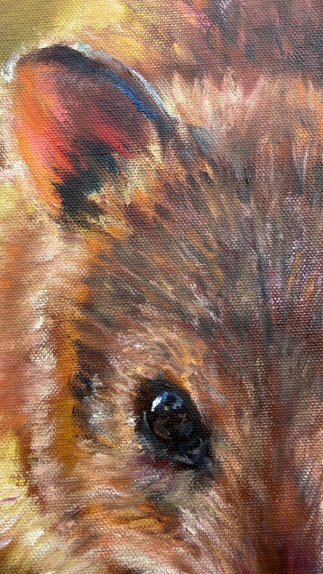 Bandicoot eye detail.jpg