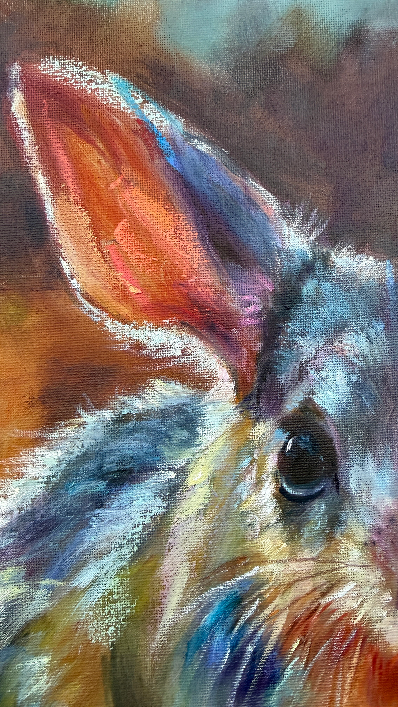 Close-up of a bilby’s large upright ears with soft pink inner tones and textured brushwork.