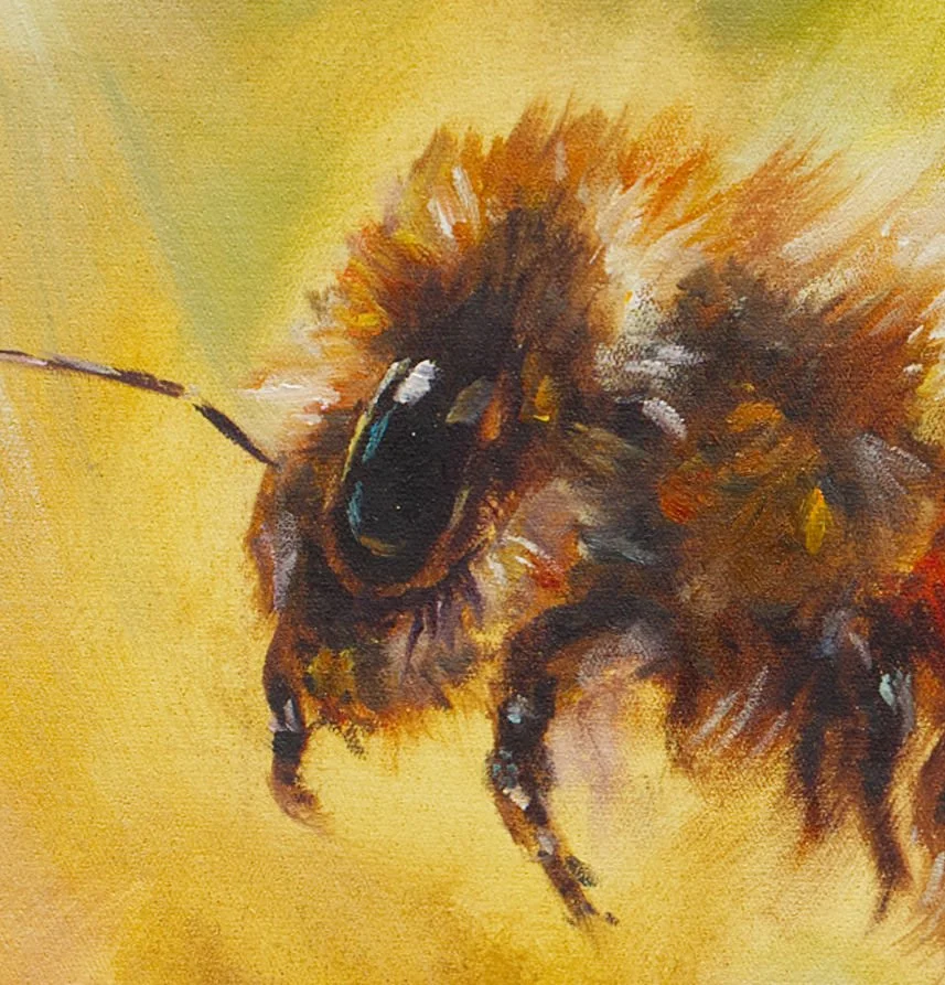 Abundance Eye Detail.jpg