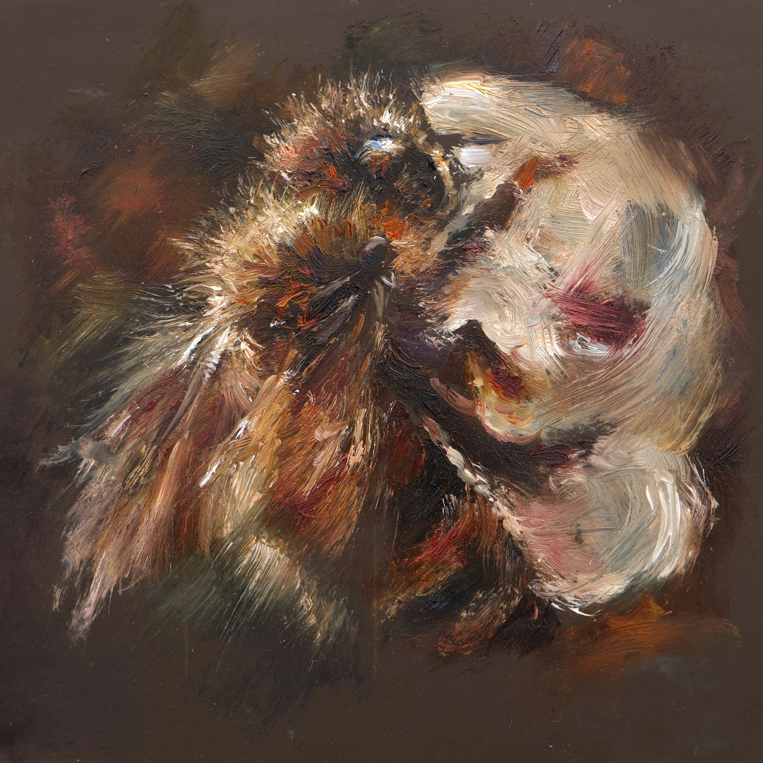 Cocoa-Glow-Bee-Artwork.jpg