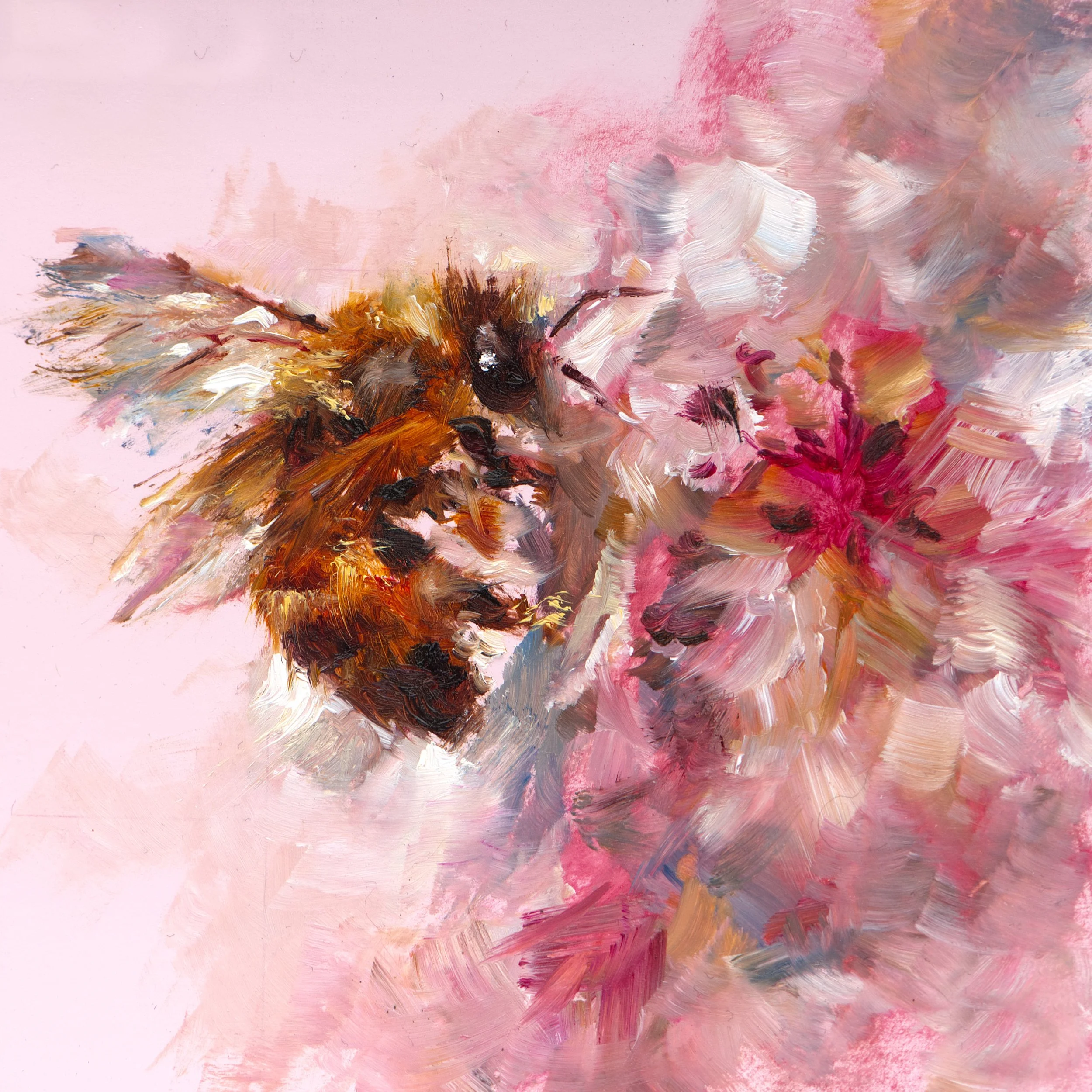Pink-Blush-Bee-Artwork.jpg