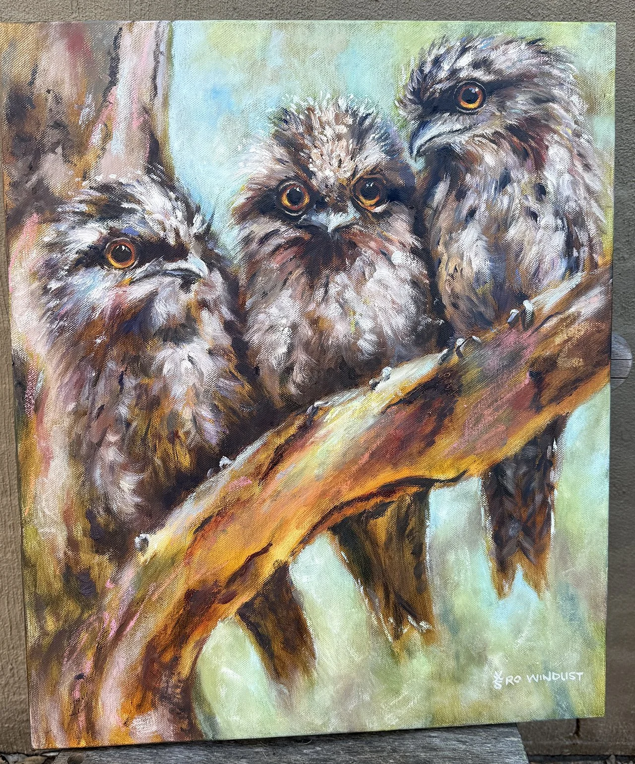 Tawnies3 full image.jpg