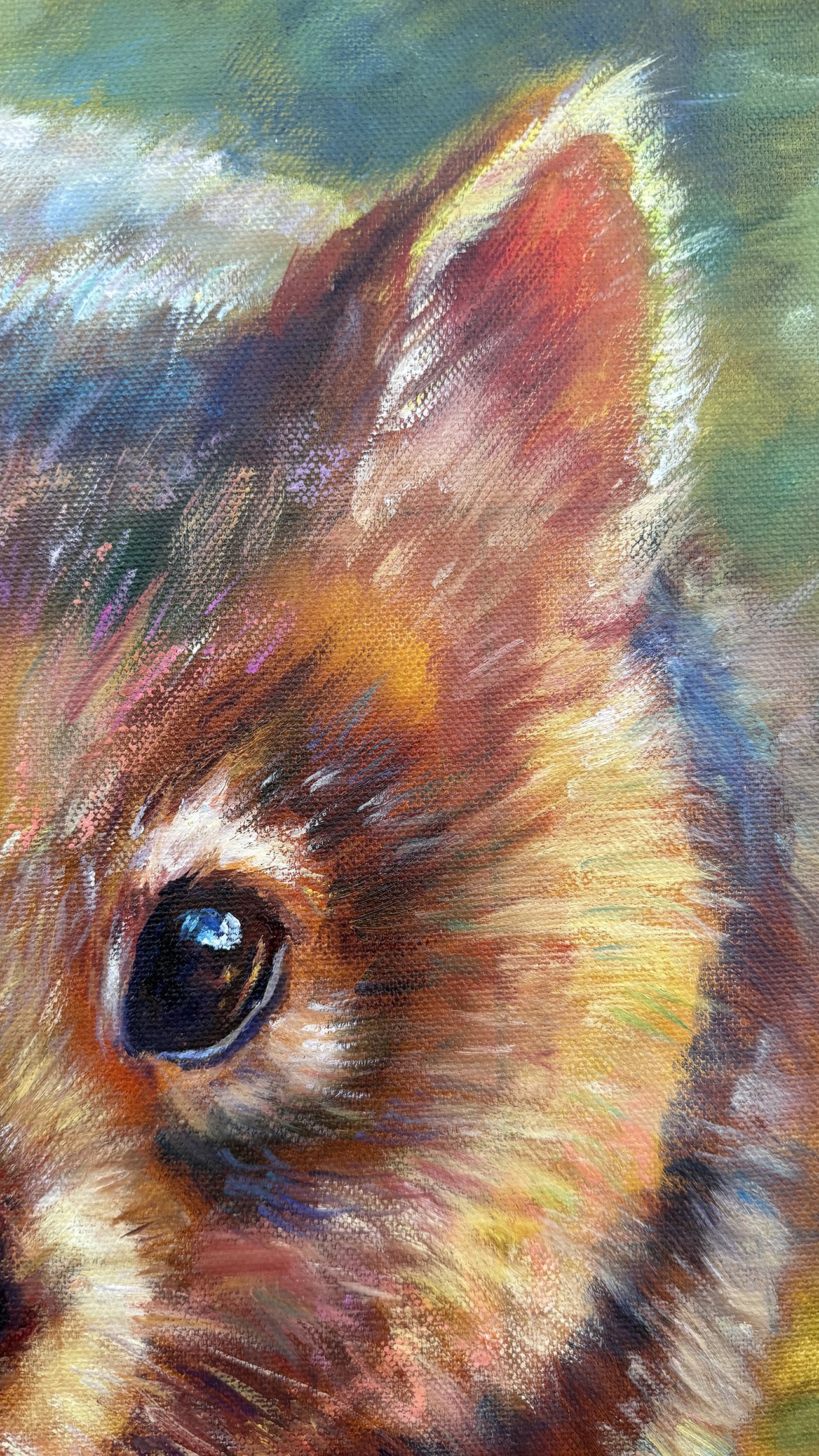 Wombat detail right ear