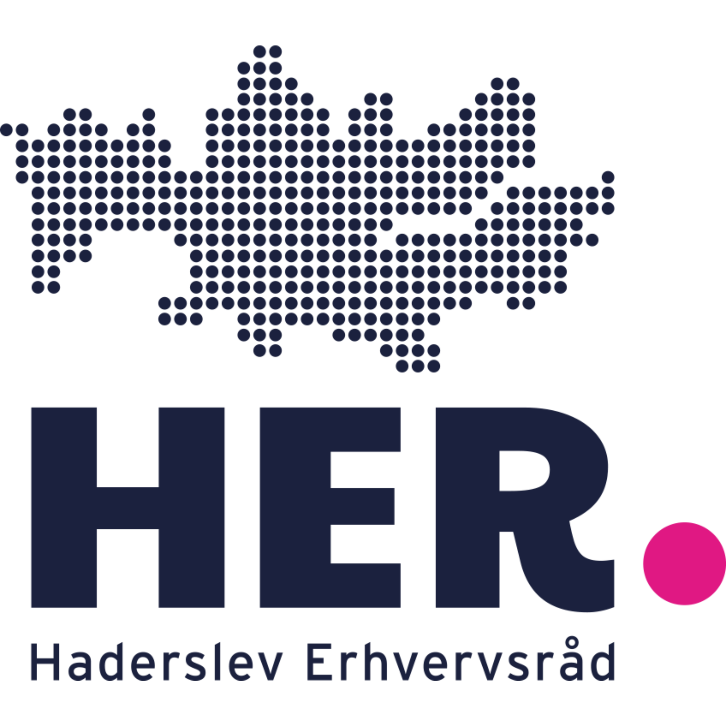 Haderslev Erhversråd.png