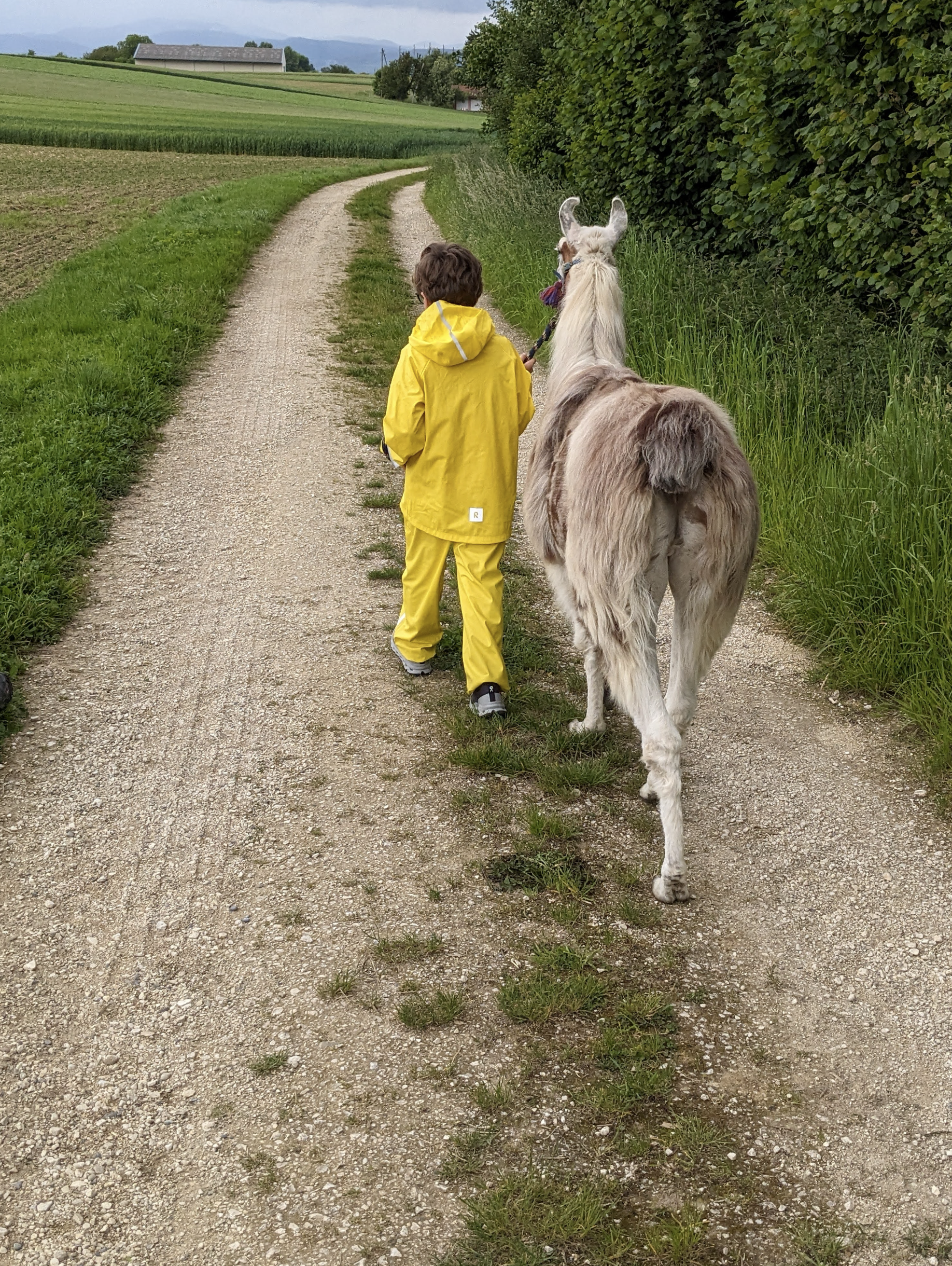 Bildschirmfoto 2025-06-06 um 15.47.09.png