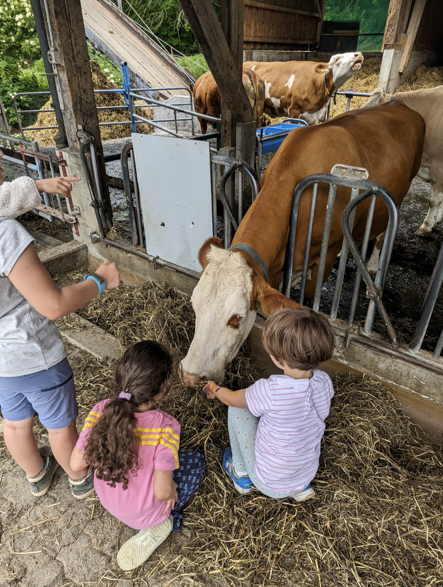 Bildschirmfoto 2025-06-06 um 15.47.02.png