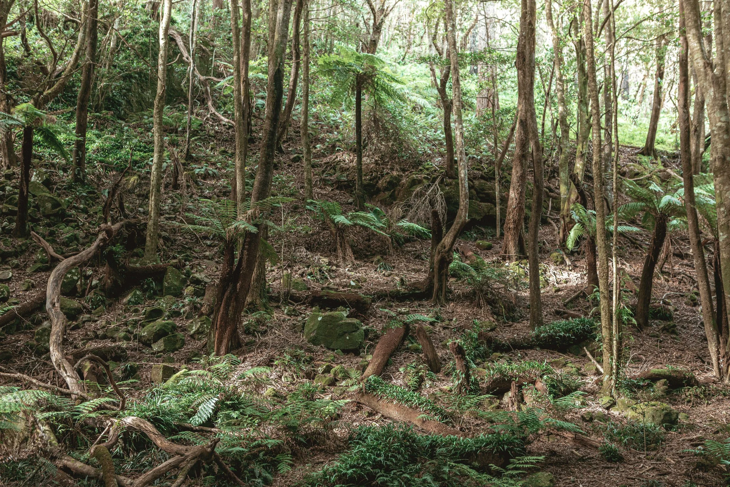 PRESS RELEASE - “Historic Landback: Heritage-listed private property ...